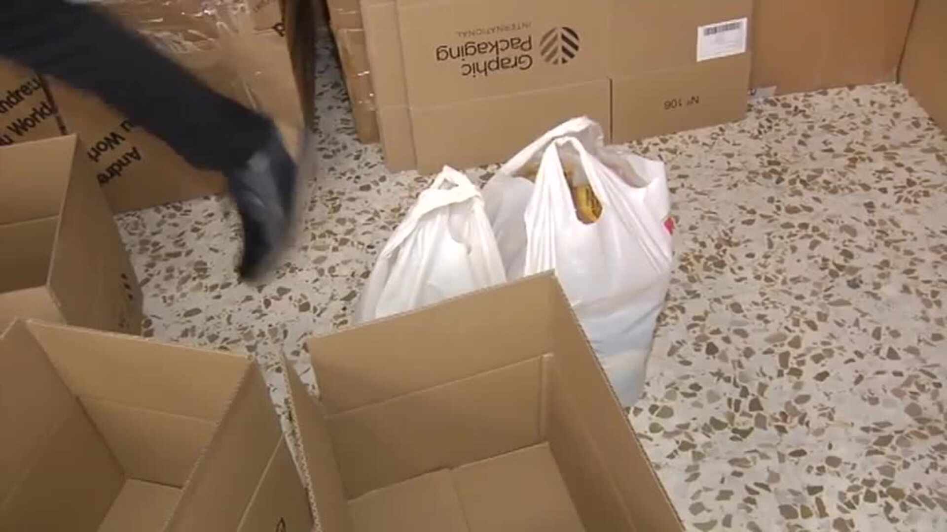 El frente solidario: España se vuelca en la ayuda a los refugiados ucranianos