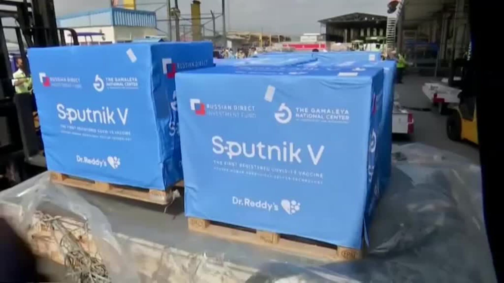 India recibe un nuevo cargamento de la vacuna rusa Sputnik V para luchar contra la COVID-19