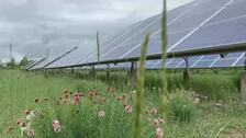 La carrera china por la energía solar, un reto ecológico para la frágil meseta tibetana