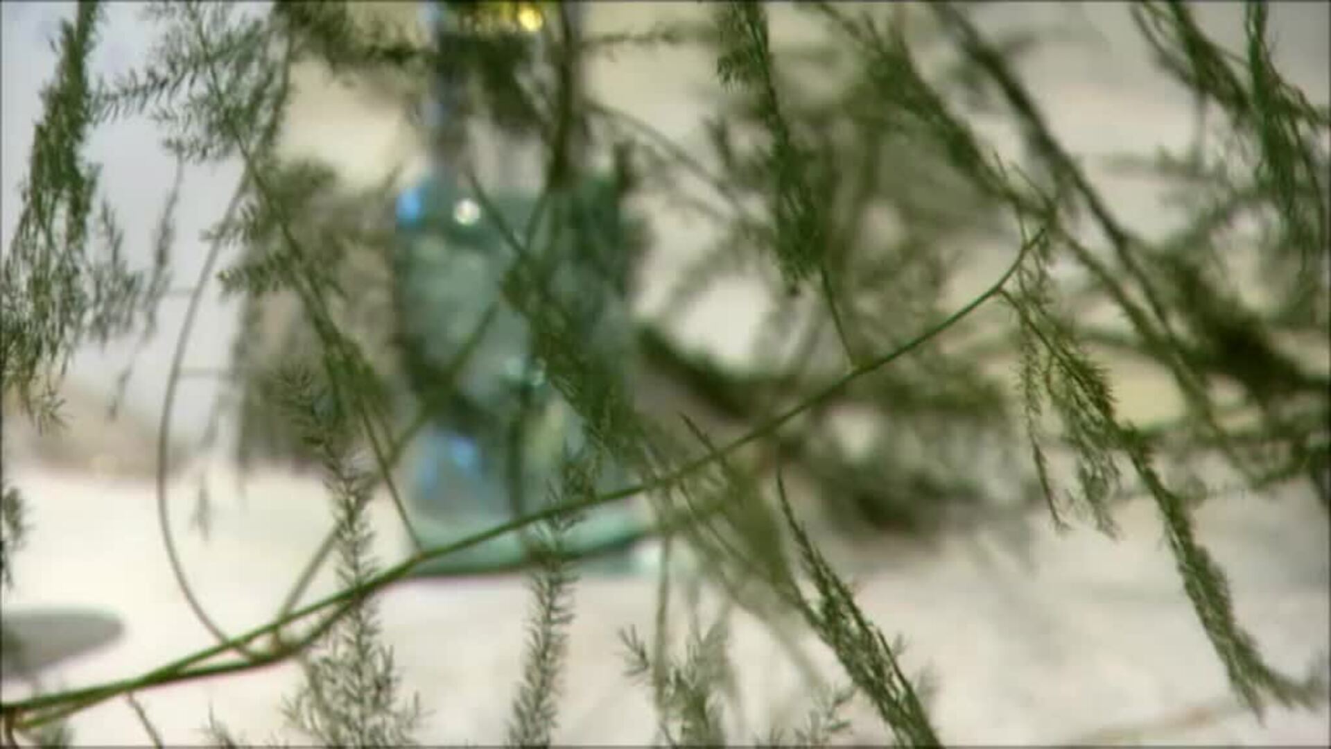 Mesas separadas por grupos de convivientes, ventilación y mascarilla