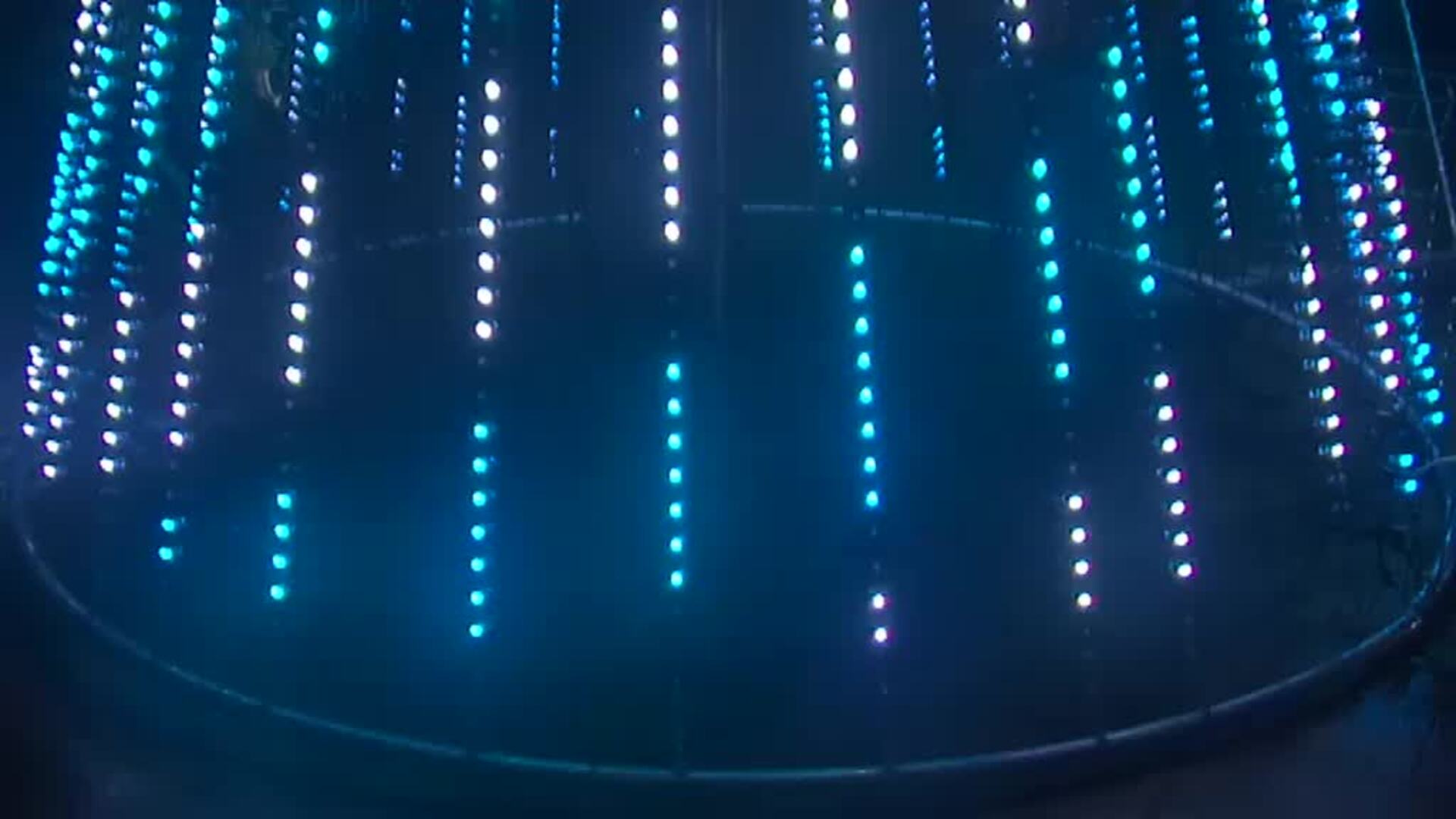 Una pareja en Pontevedra monta un árbol de 6 metros de altura