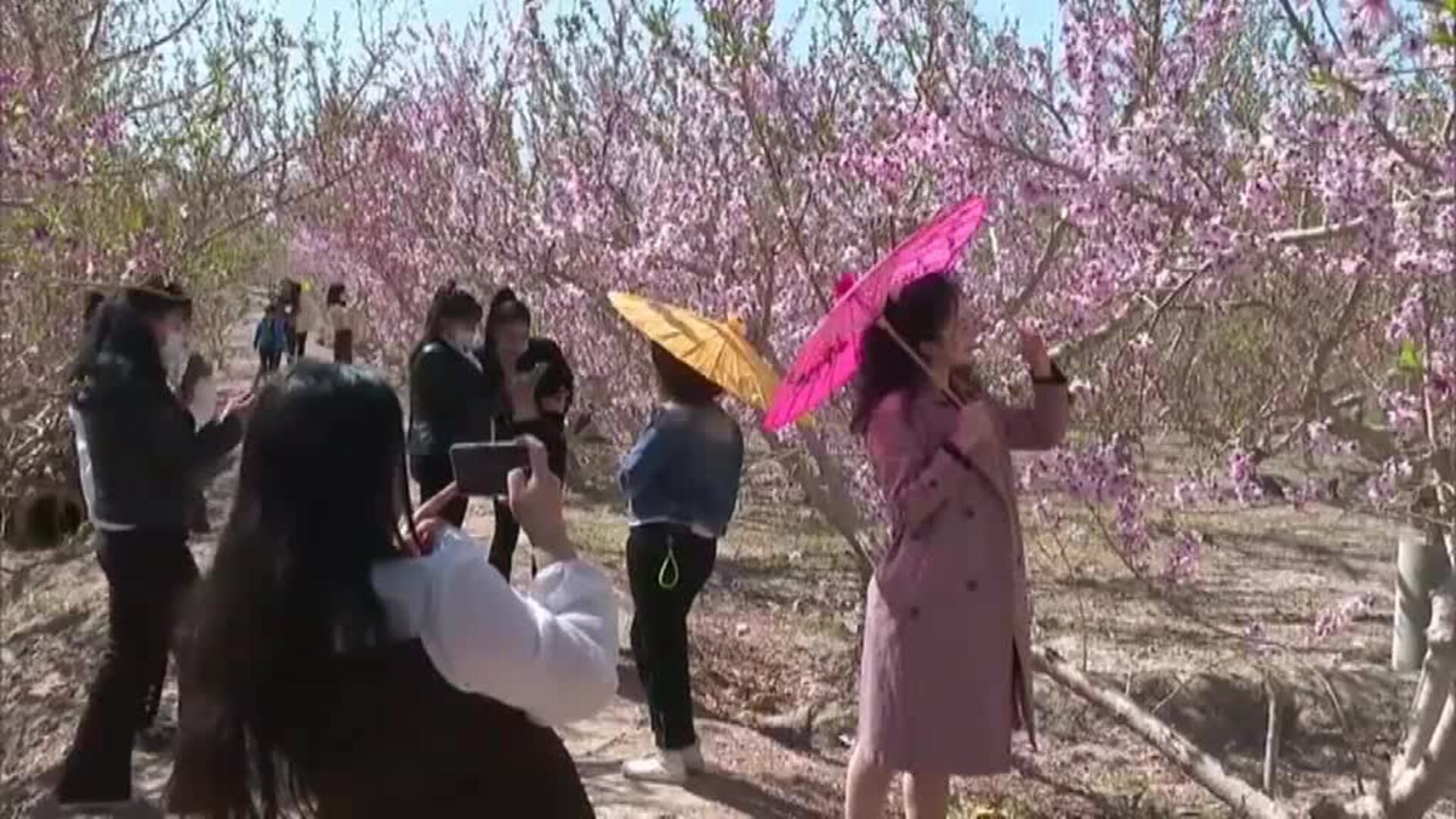 El inicio de la primavera atrae a miles de turistas en China