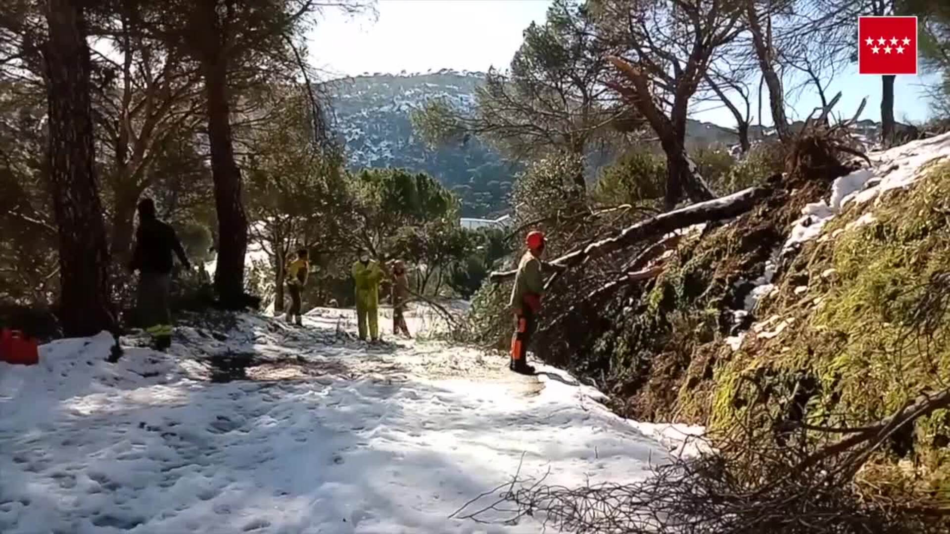 La Comunidad de Madrid moviliza a cerca de 140 miembros de las Brigadas Forestales