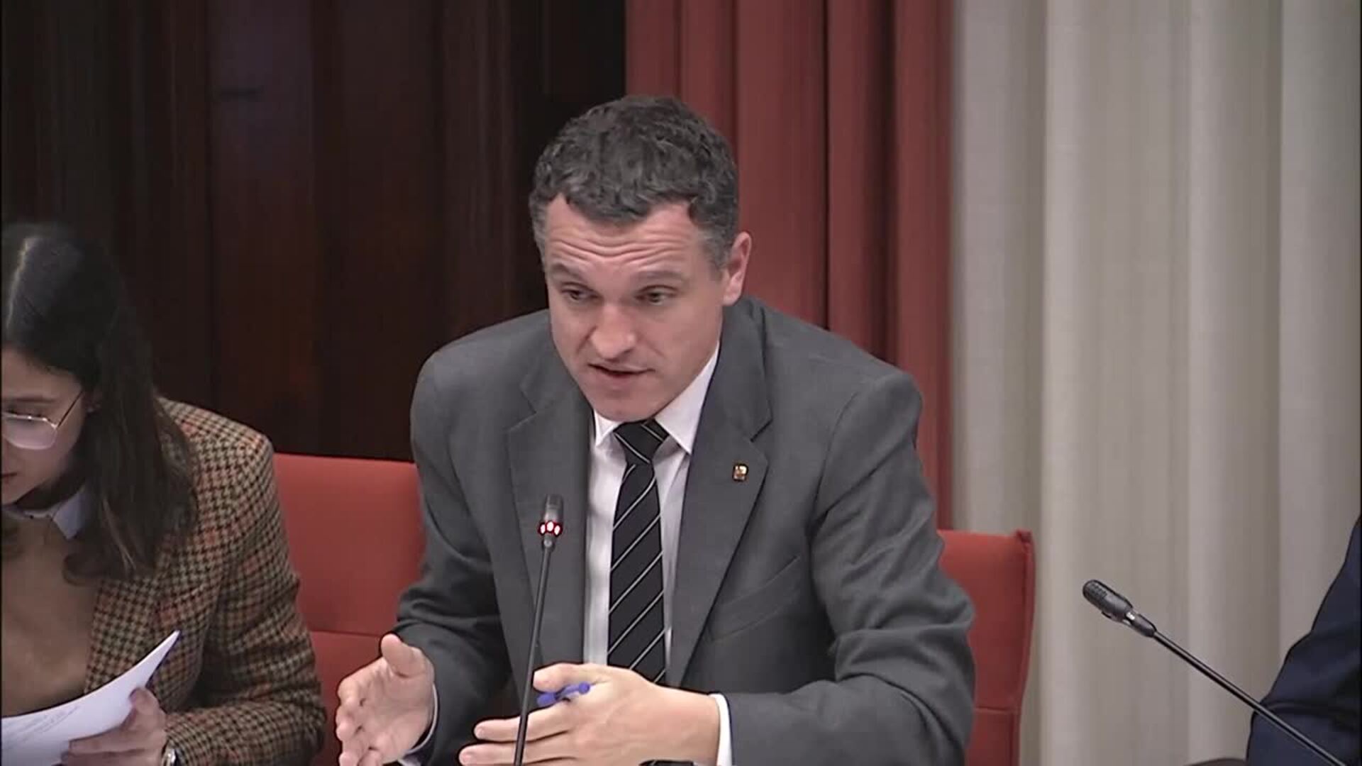 El Govern prevé reducir a la mitad la población de jabalíes, que cifra en 125.000