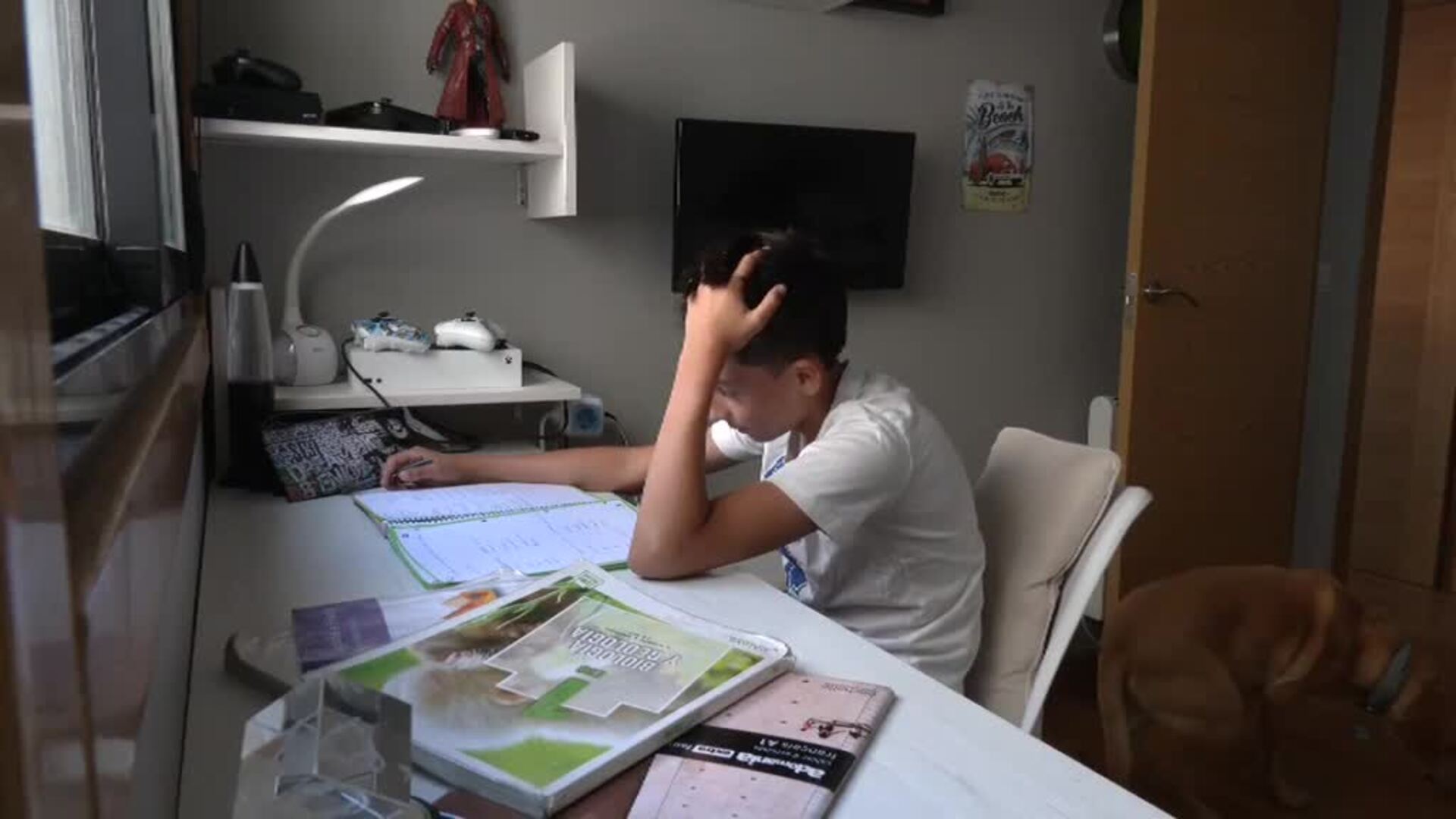 El aprendizaje informal, alternativa a los estrictos deberes para no perder el ritmo en verano