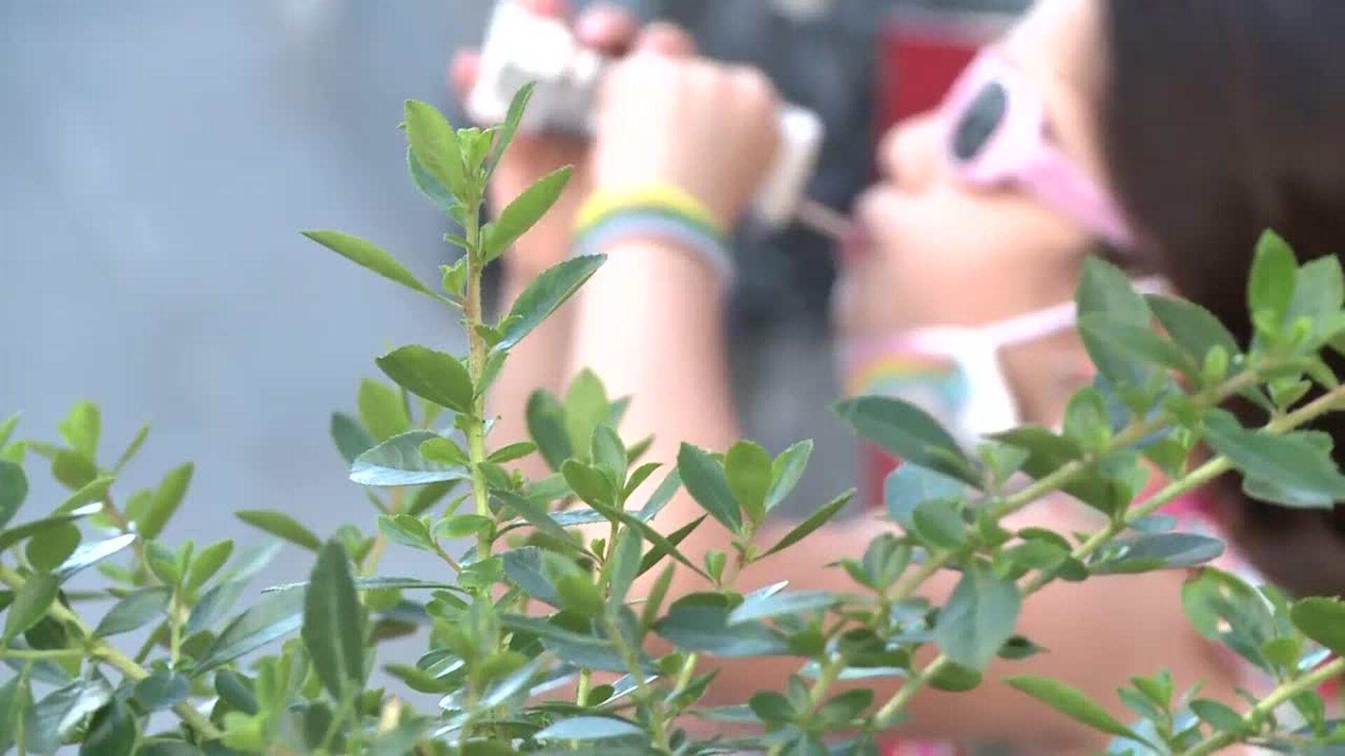 Niños extremeños pueden salir desde hoy de 14,00 a 21,00 horas