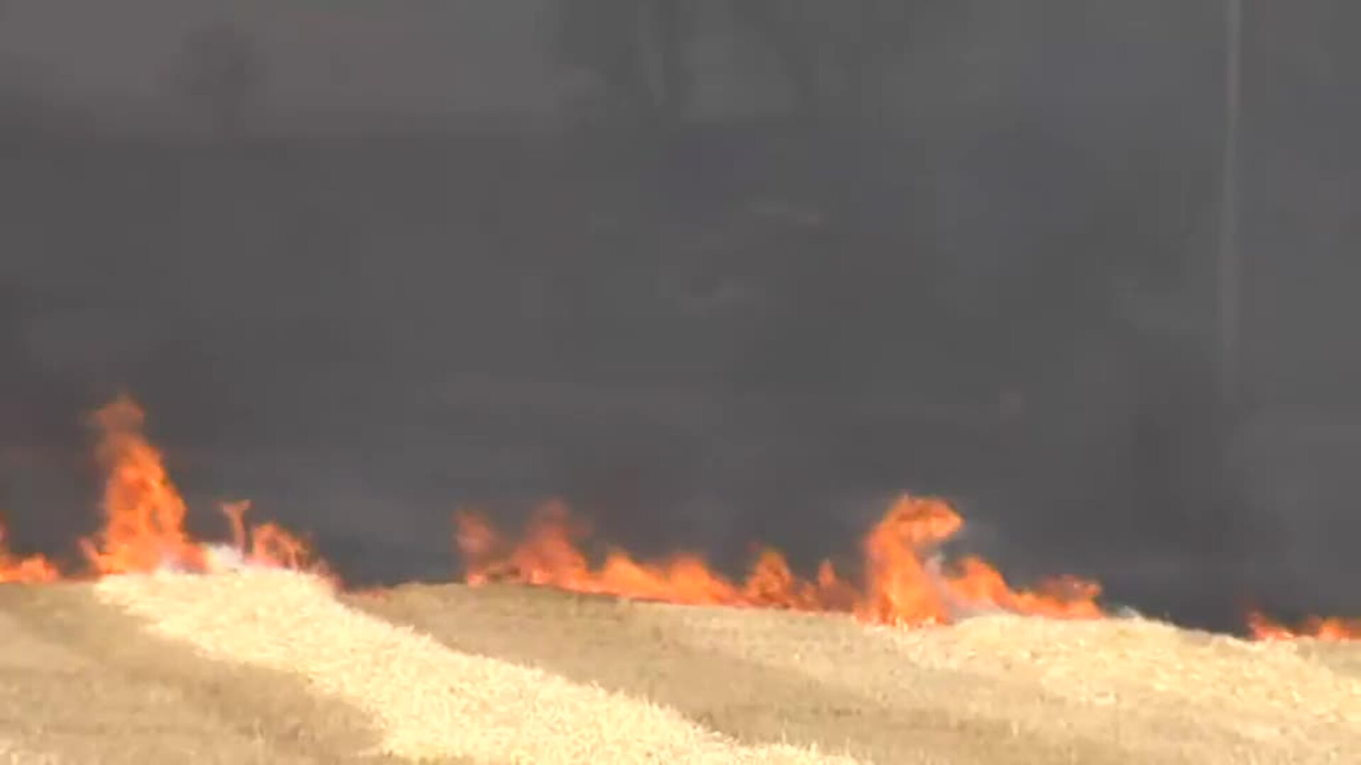Las llamas obligar a desalojar a miles de personas en Navarra