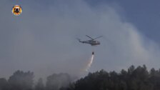 El incendio de Alzira se da por estabilizado tras calcinar 40 hectáreas