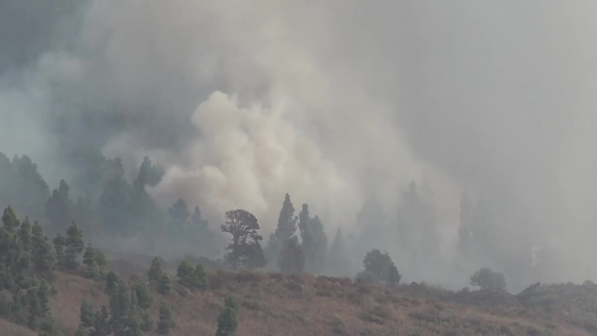 Erupción volcánica en La Palma