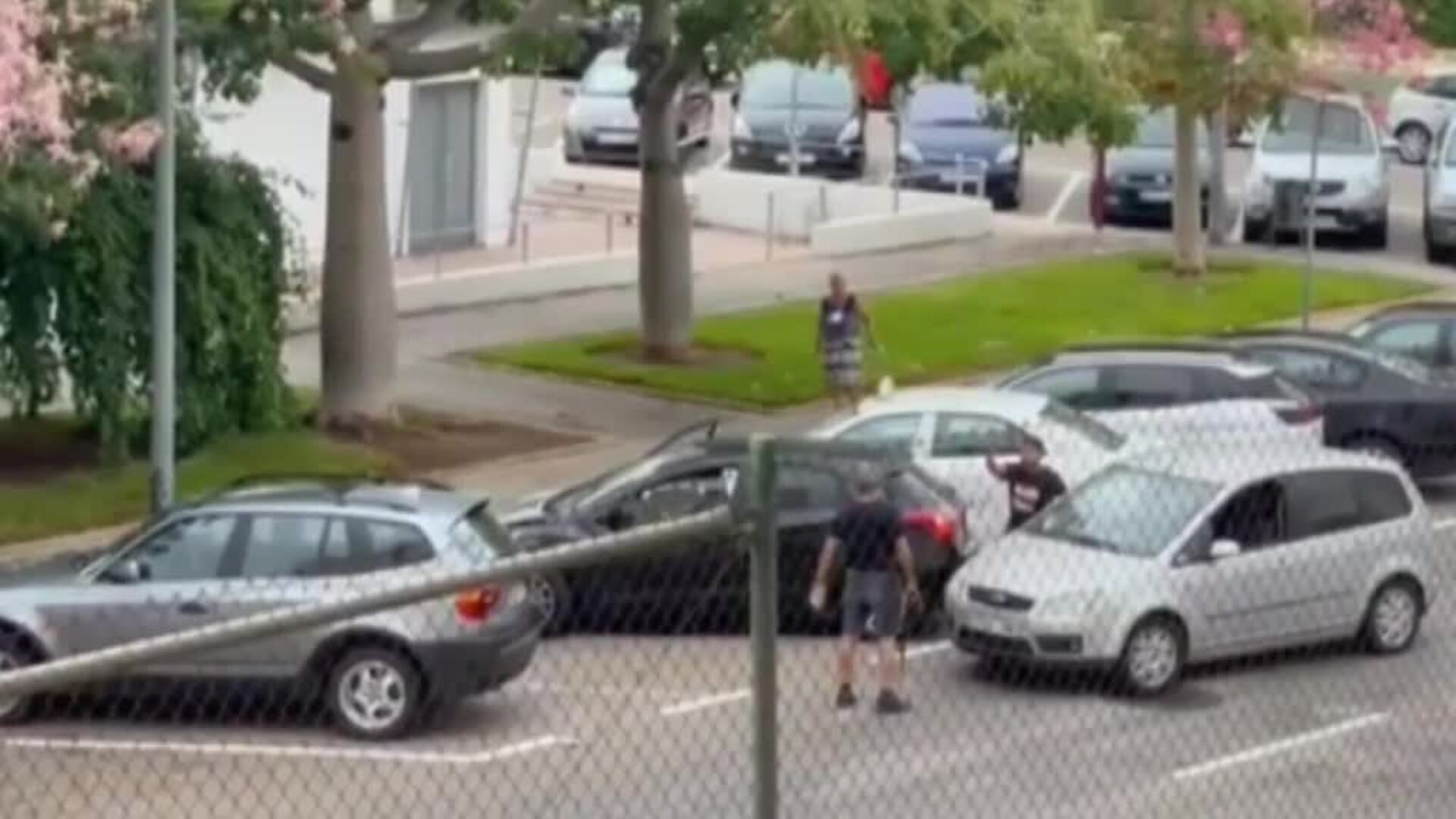 Brutal agresión en Gandía por un &#039;simpa&#039;