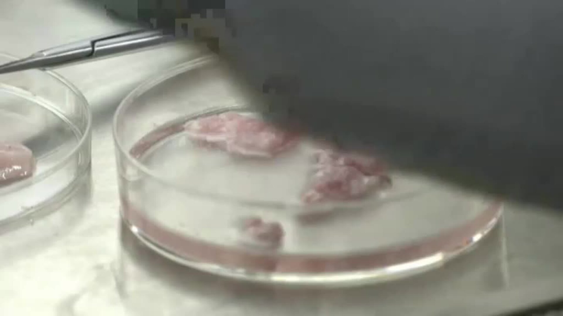 La carne más cara del mundo impresa en 3D