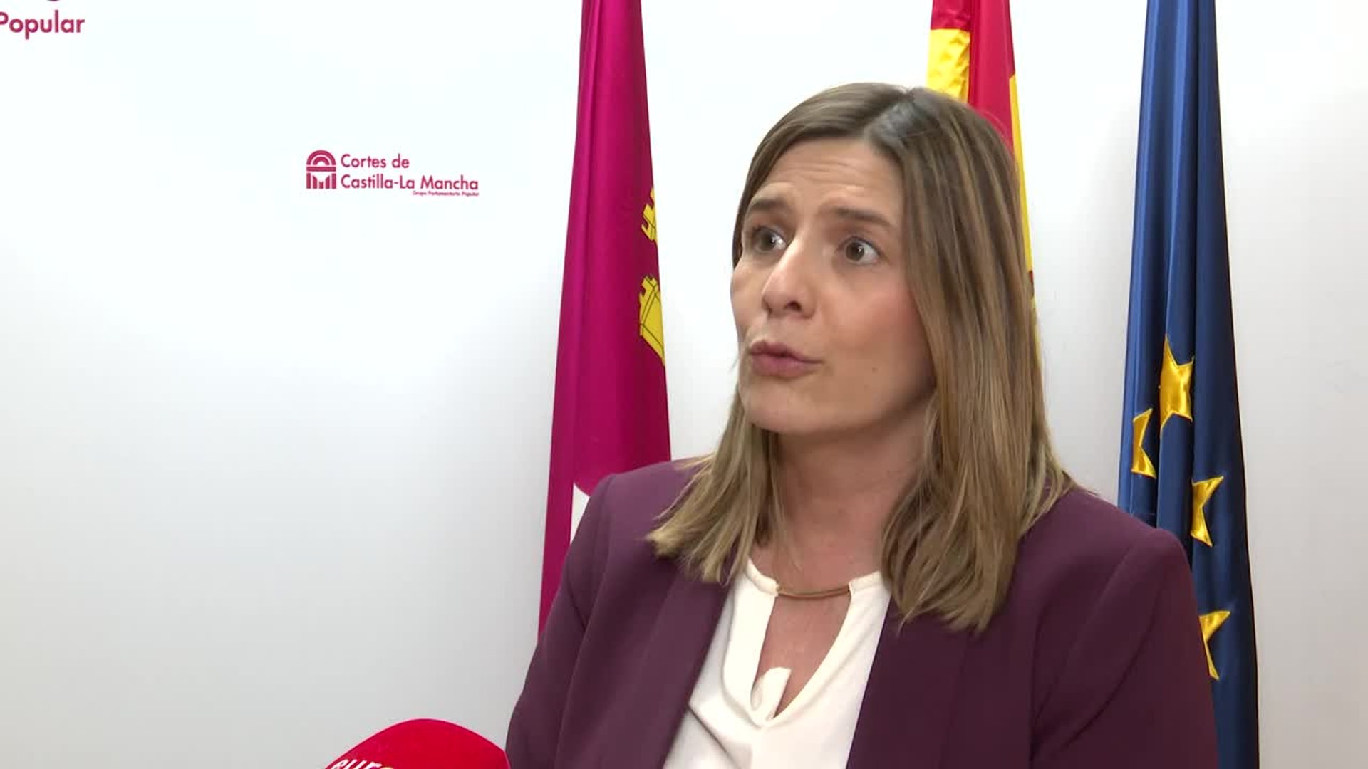 PP enmienda el Estatuto de Autonomía de C-LM para que no aumente el ...