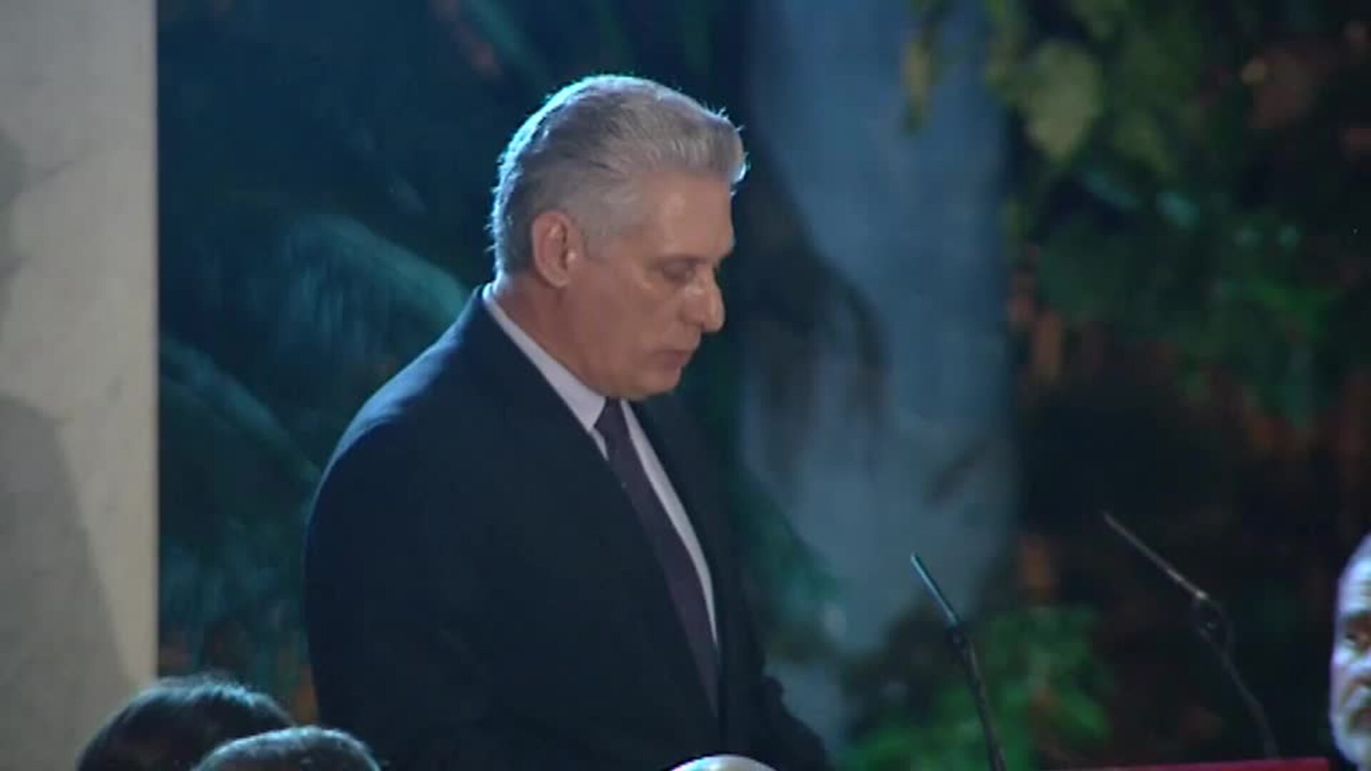 El Rey defiende los derechos humanos en Cuba