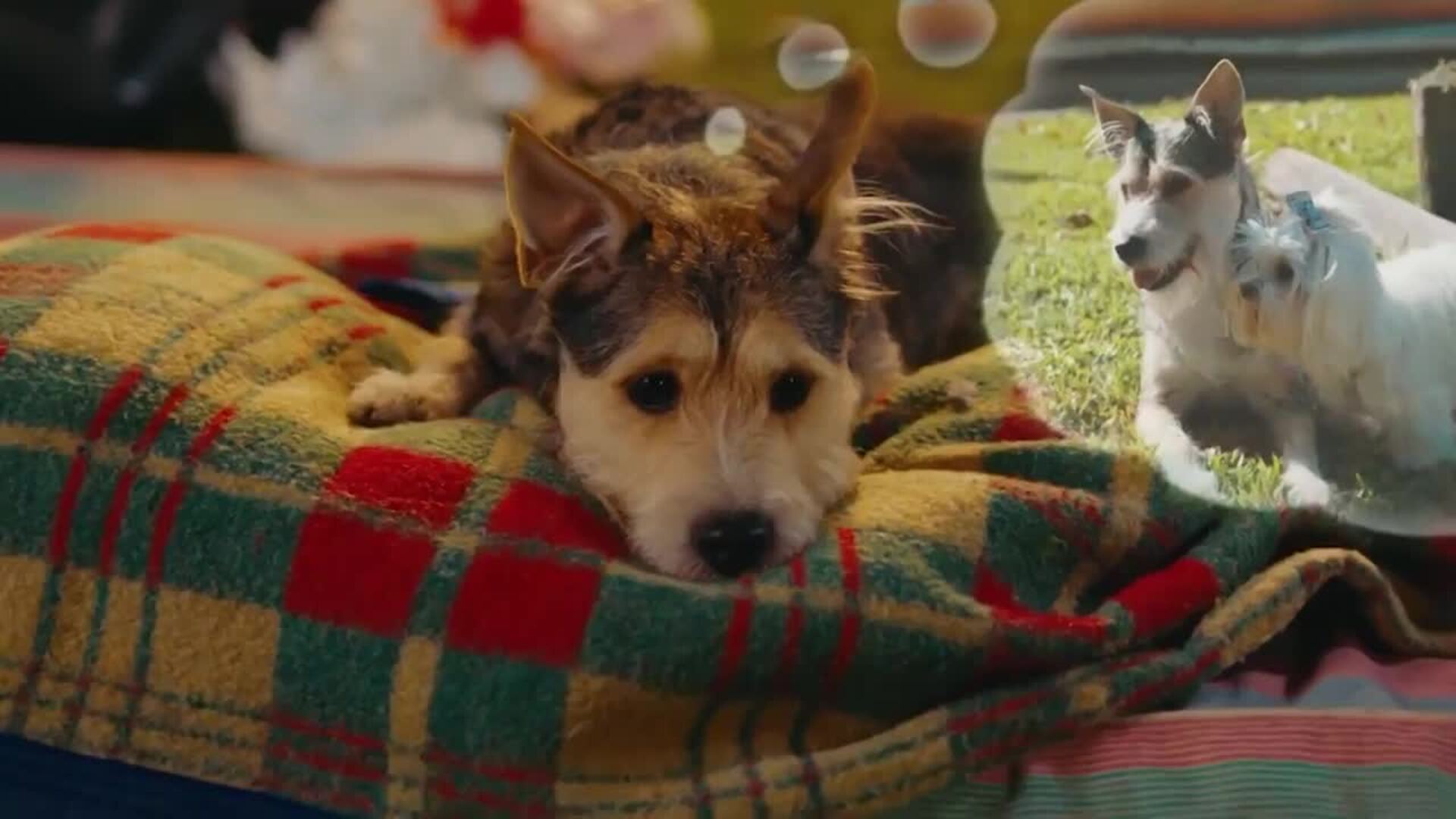 Sebastián Yatra, Maluma y Demi Lovato protagonizan los estrenos musicales