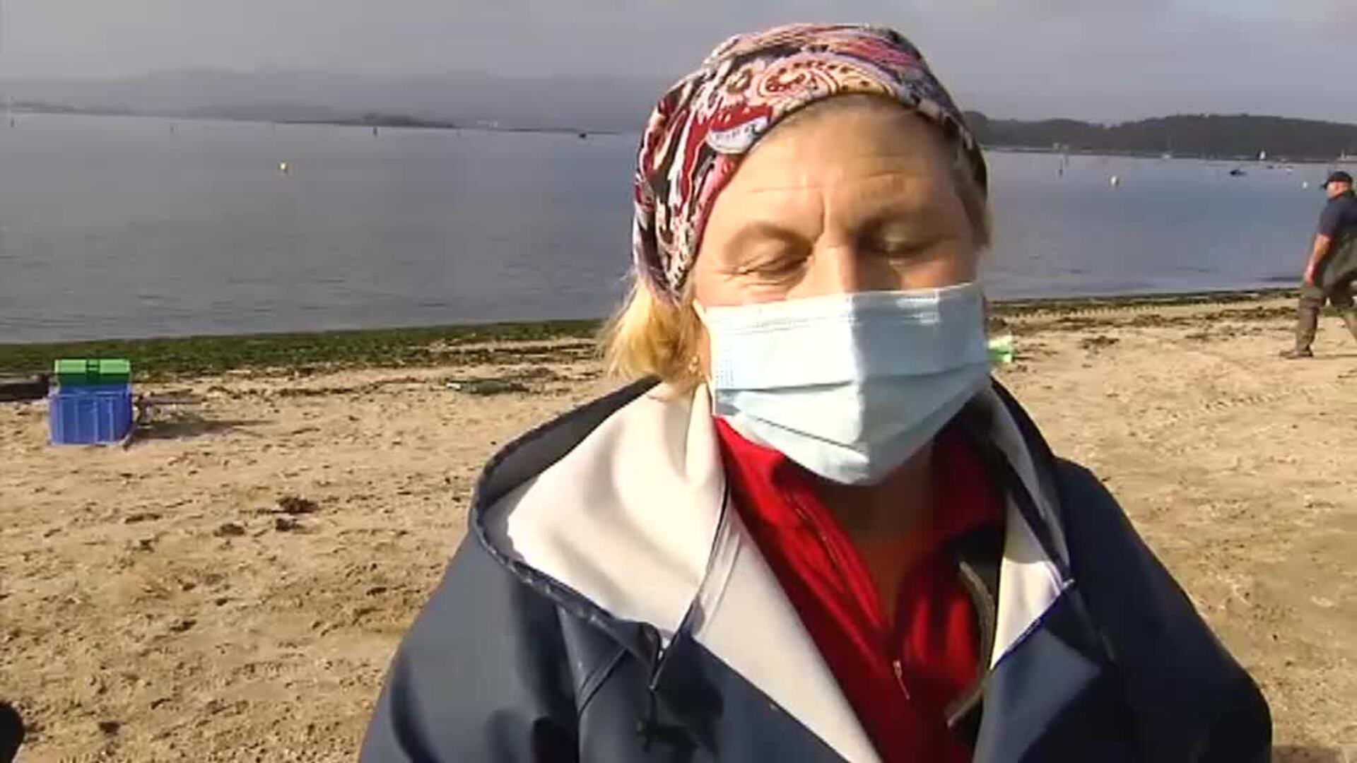 Una invasión de algas en pleno diciembre amenaza la almeja de Carril