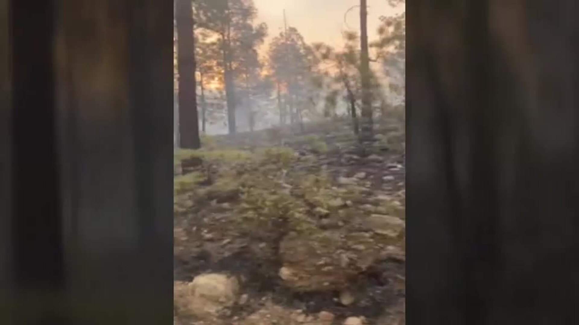 El fuego en el municipio tinerfeño de Arico sigue sin control y afecta ya a 2.800 hectáreas