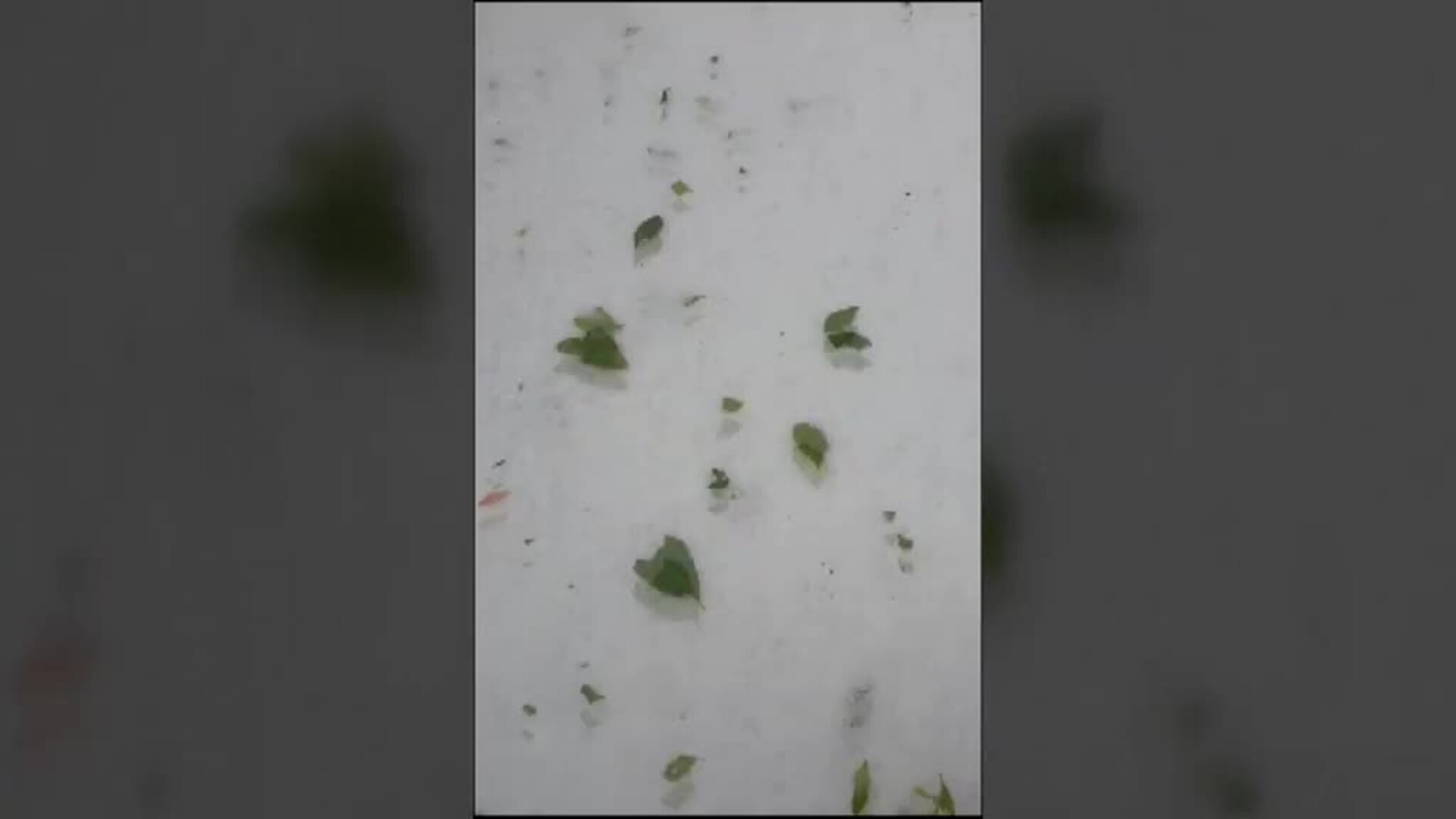 La intensa tormenta de Arganda del Rey sorprende a las redes sociales