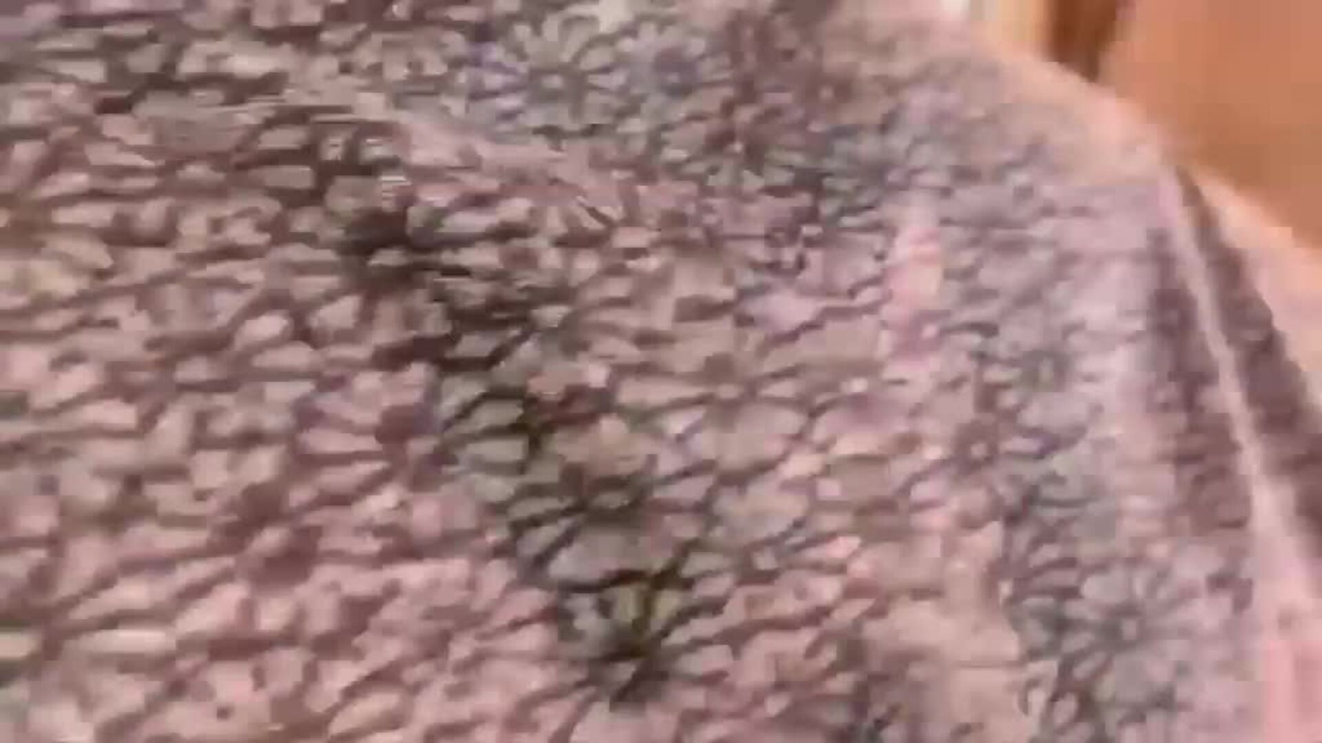 El Gobierno ofrece el puerto de Algeciras para acoger a los 107 rescatados del Open Arms