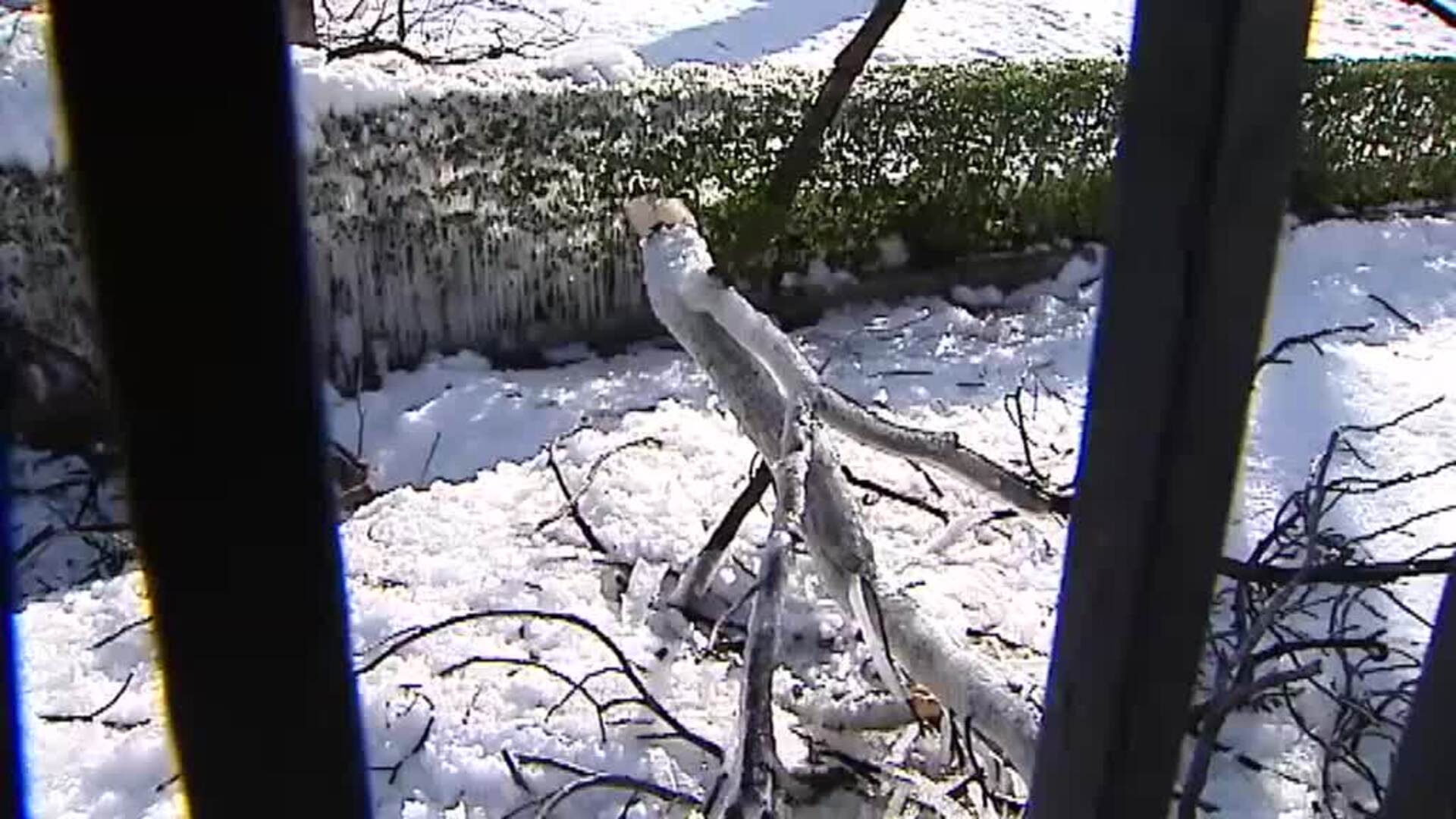 Filomena cambia para siempre la imagen del Parque del Retiro