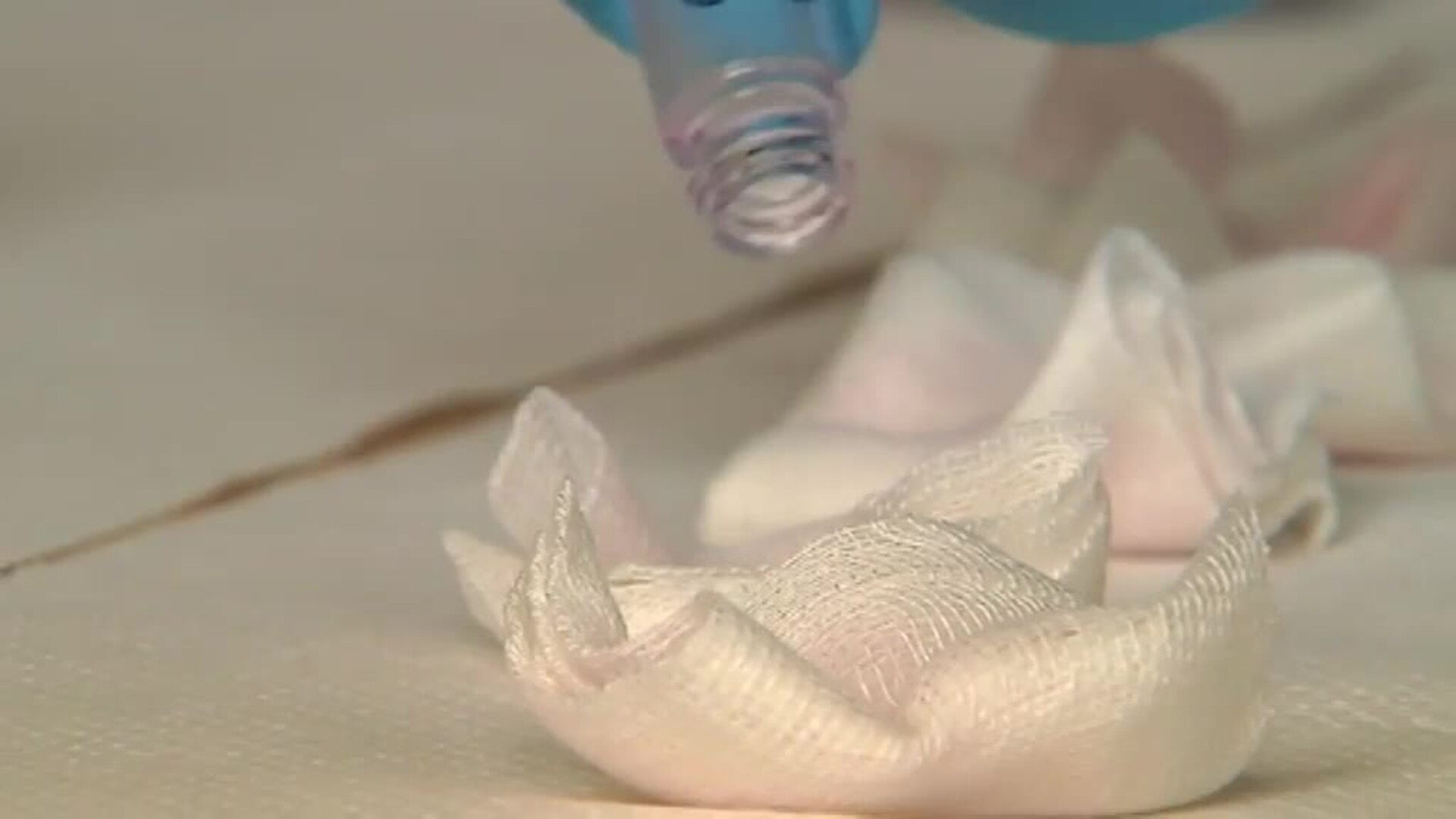 Entrenan a perros para la detección temprana de diferentes tipos de cáncer