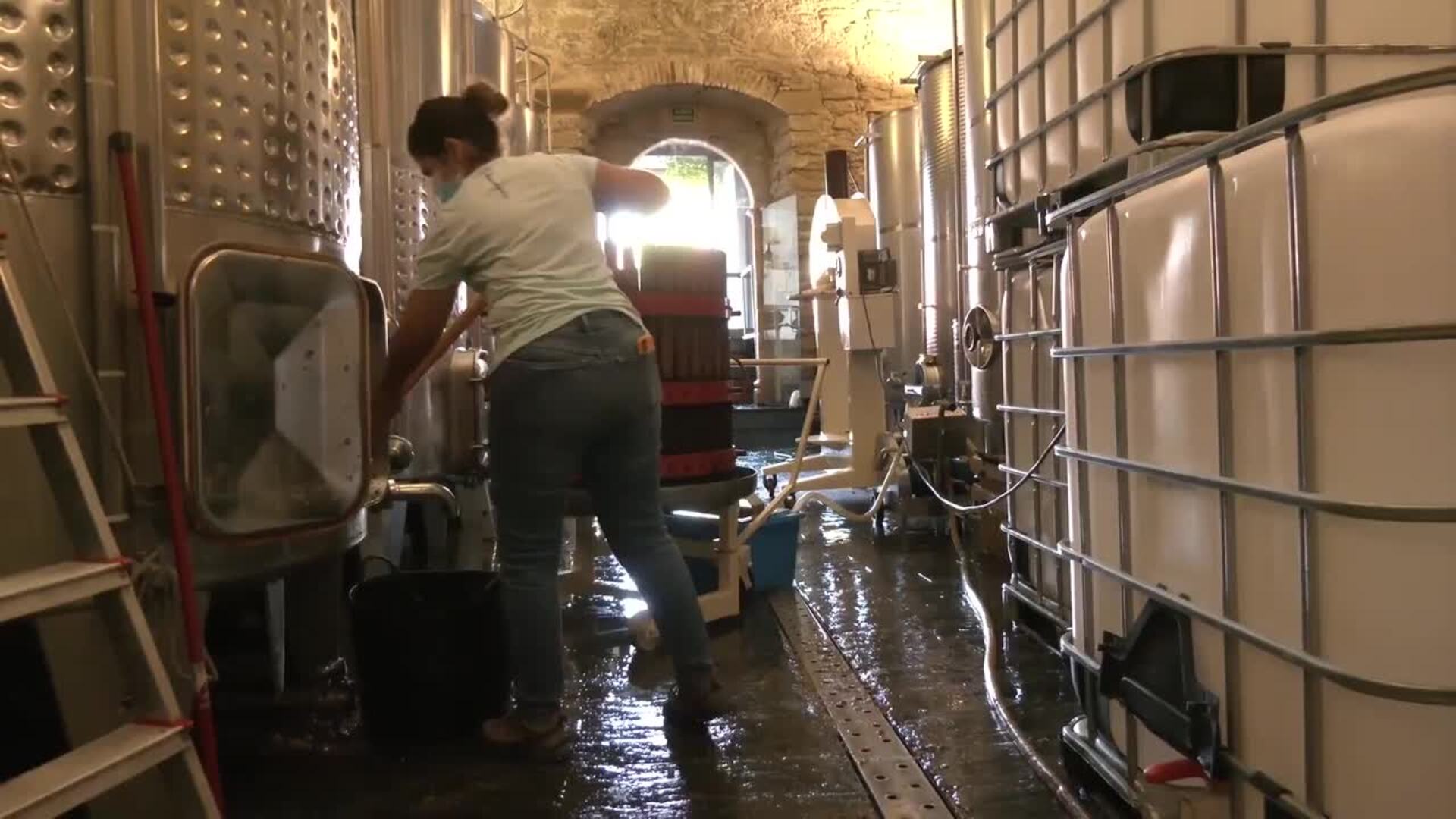 Moreno traslada el &quot;compromiso y respaldo&quot; del Gobierno andaluz al sector vitivinícola