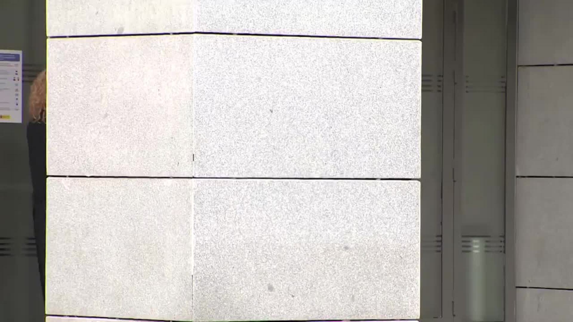 Fernández Díaz y Francisco Martínez llegan a la Audiencia Nacional