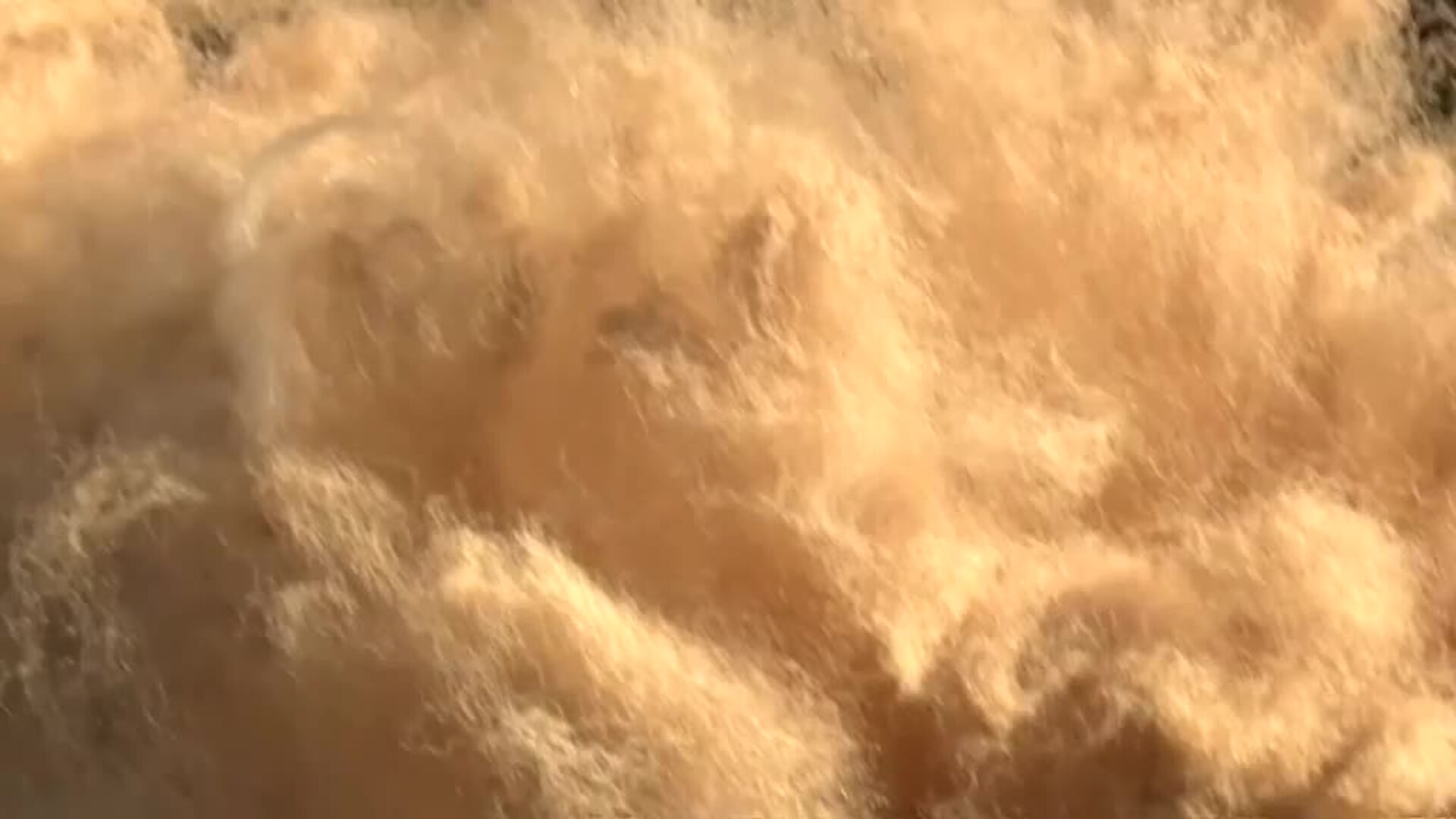 Una ganadera enamorada de las alpacas monta una granja en las montañas de Cercs