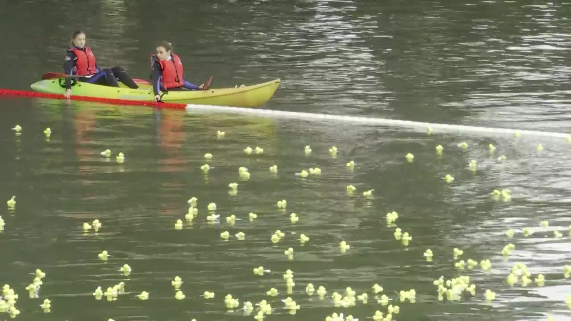 13.000 &#039;biopatos&#039; compiten en la novena Estropatada por una buena causa