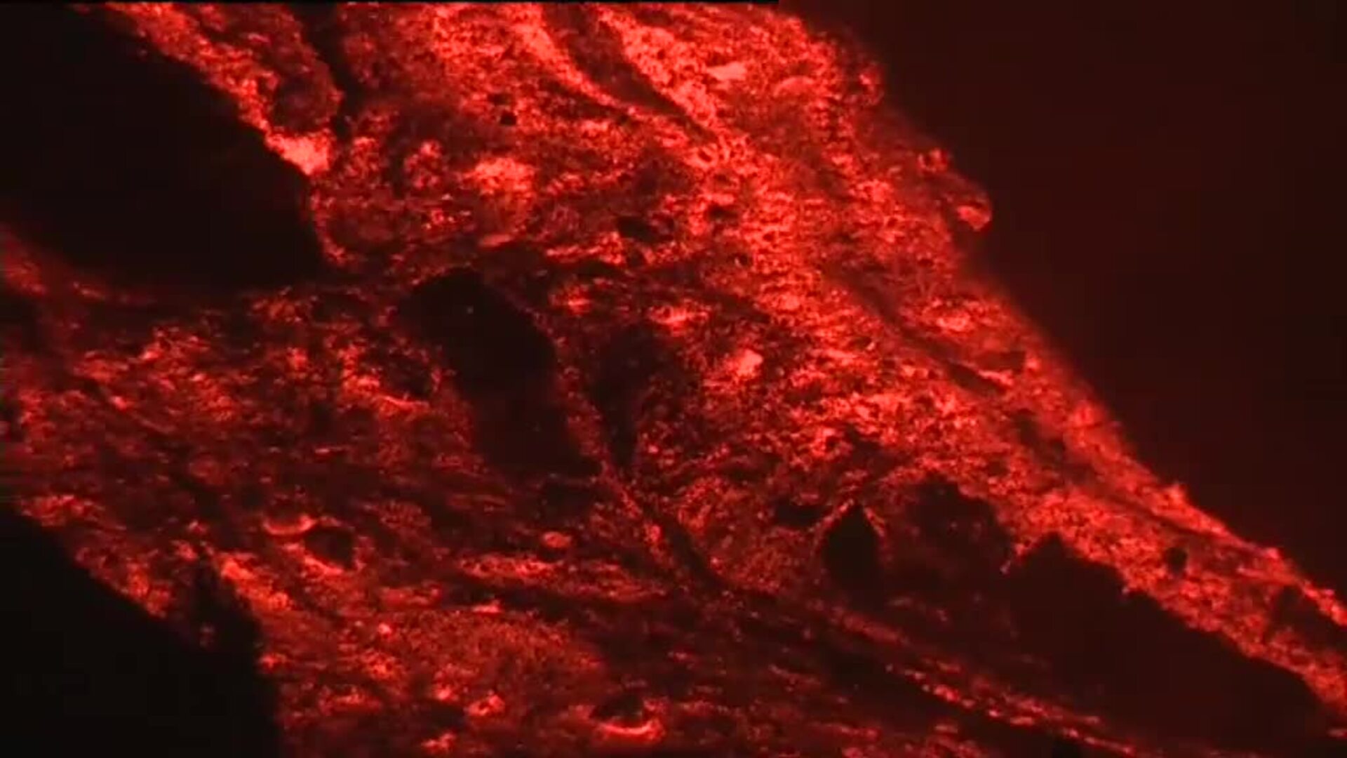 Noche intensa de lava que da un impulso a la bajada de la colada hacia el mar