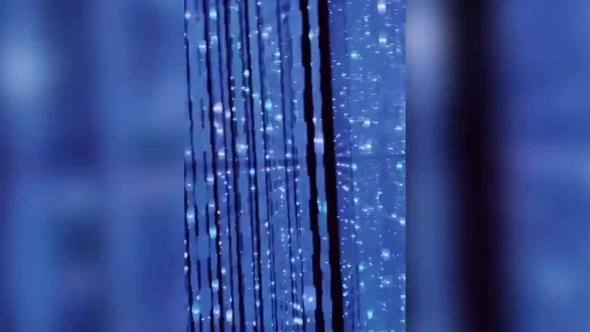 David Bisbal y Rosanna Zanetti, de viaje en Japón