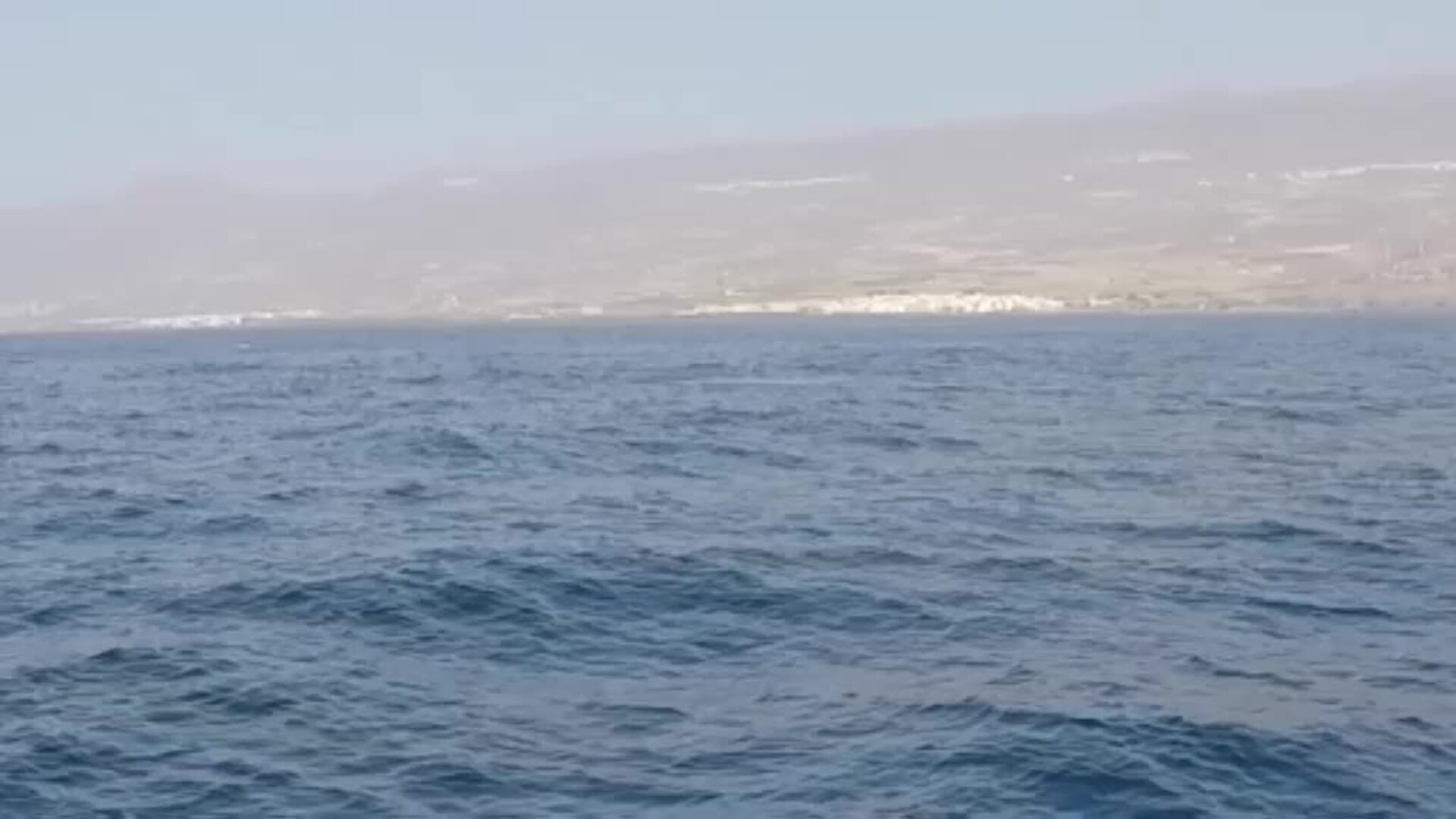 Raro avistamiento de ballenas en las Islas Canarias