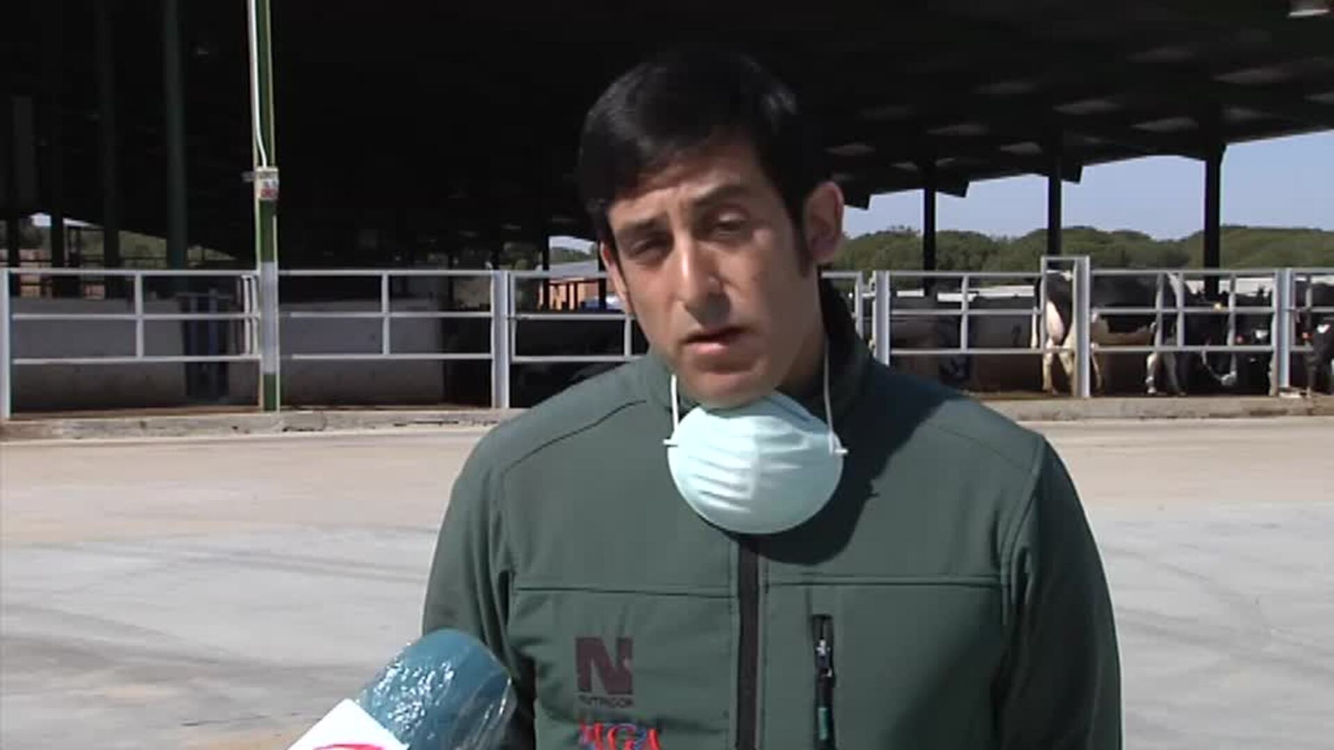 Agricultura y ganadería, fundamental contra el coronavirus