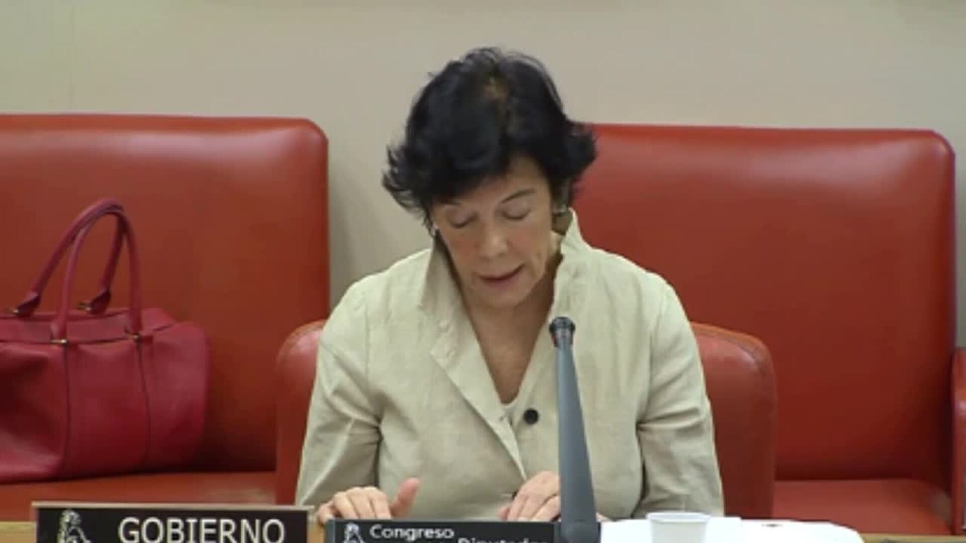 Celaá señala como hay ámbitos educativos en los que urgen reformas