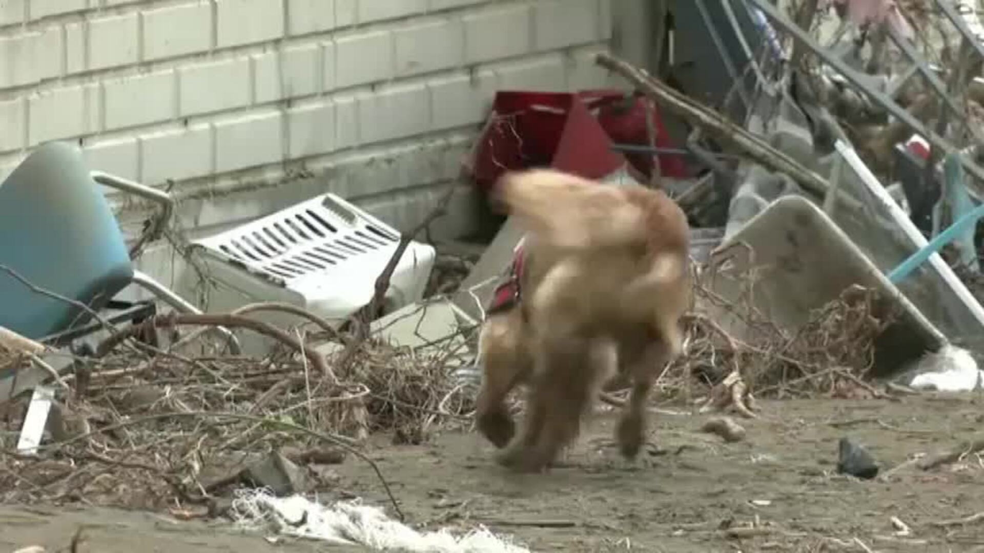 Las brutales riadas en Turquía causan estragos en la región del Mar Negro