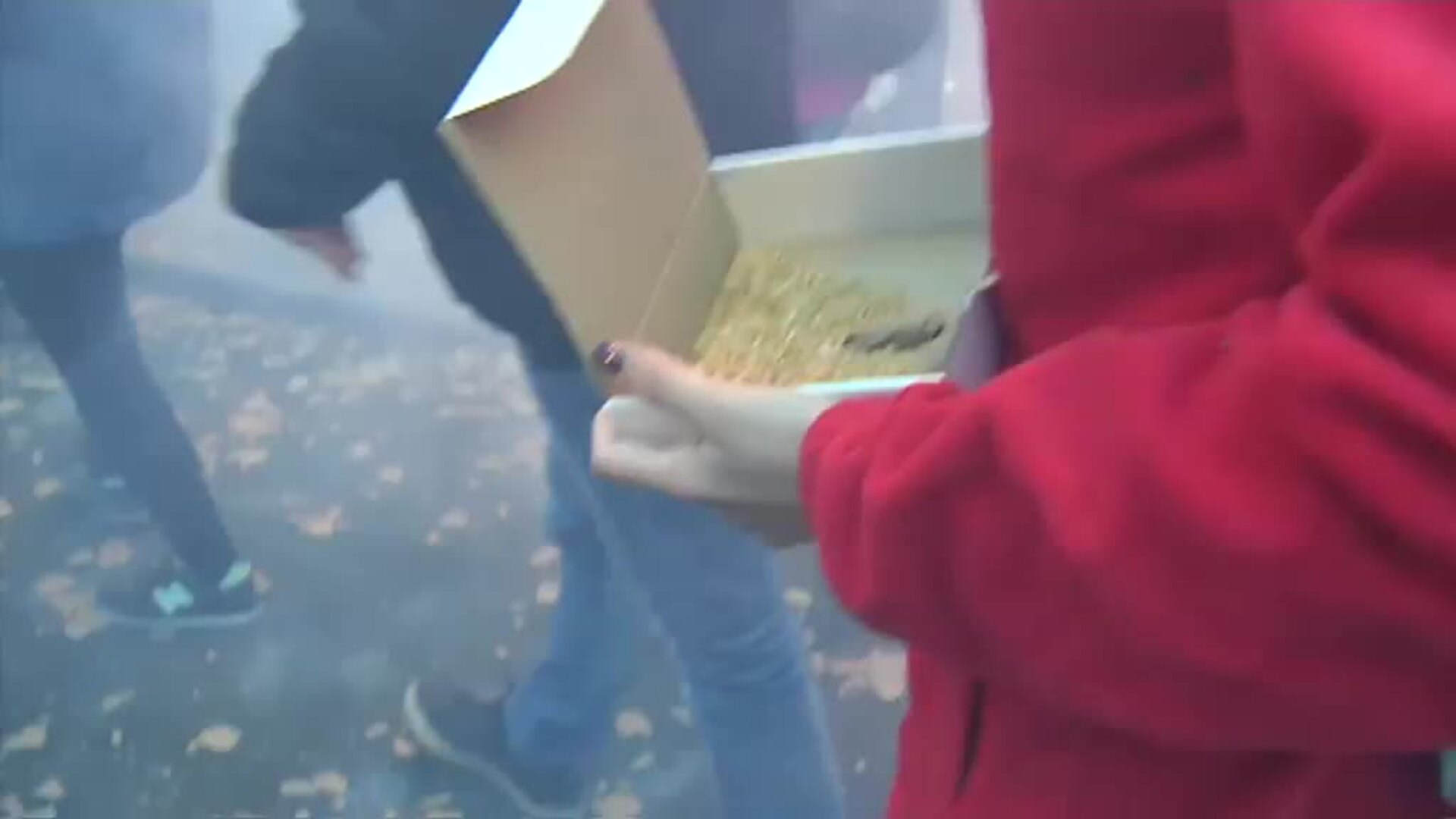 Una atronadora despertà anuncia las Fallas 2020