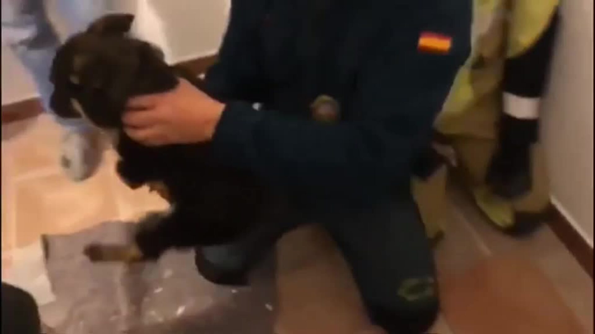 La Guardia Civil rescata a un cachorro atrapado en una tubería