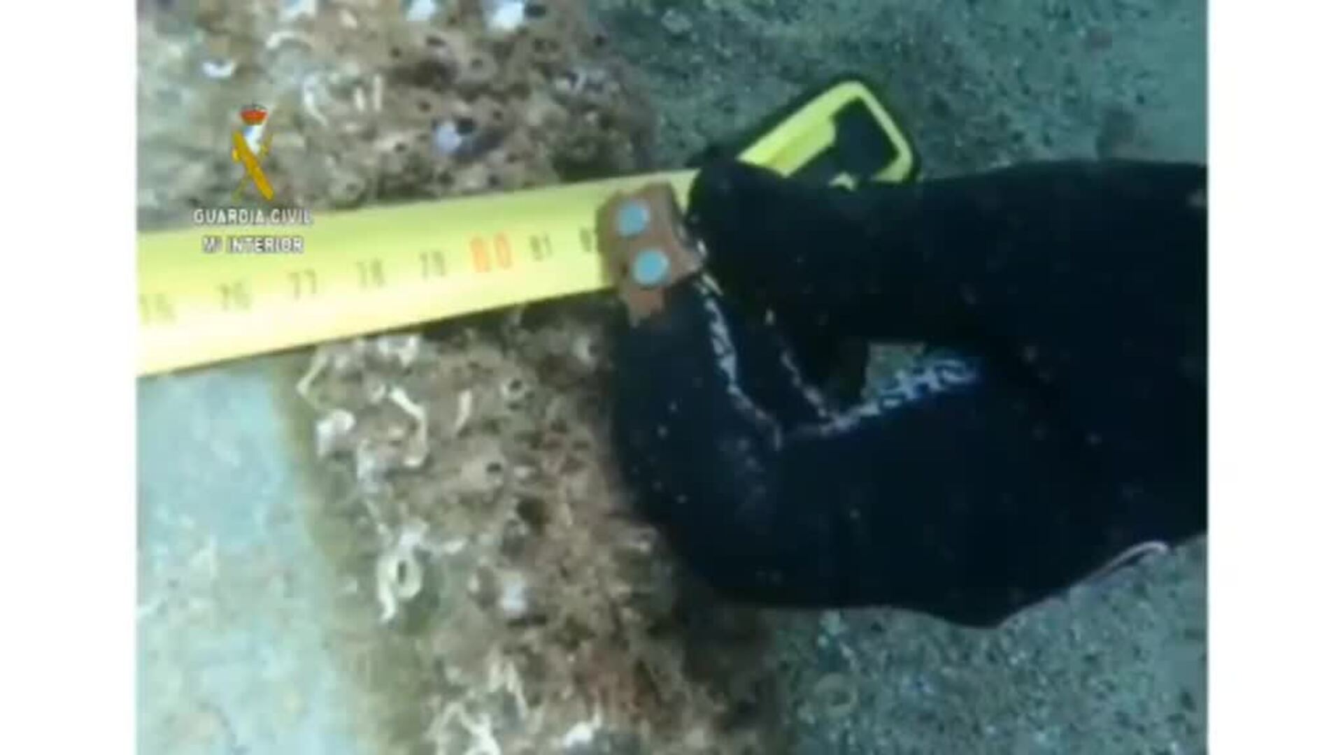 Así es el artefacto explosivo que los GEAS han hallado en una playa de Barcelona