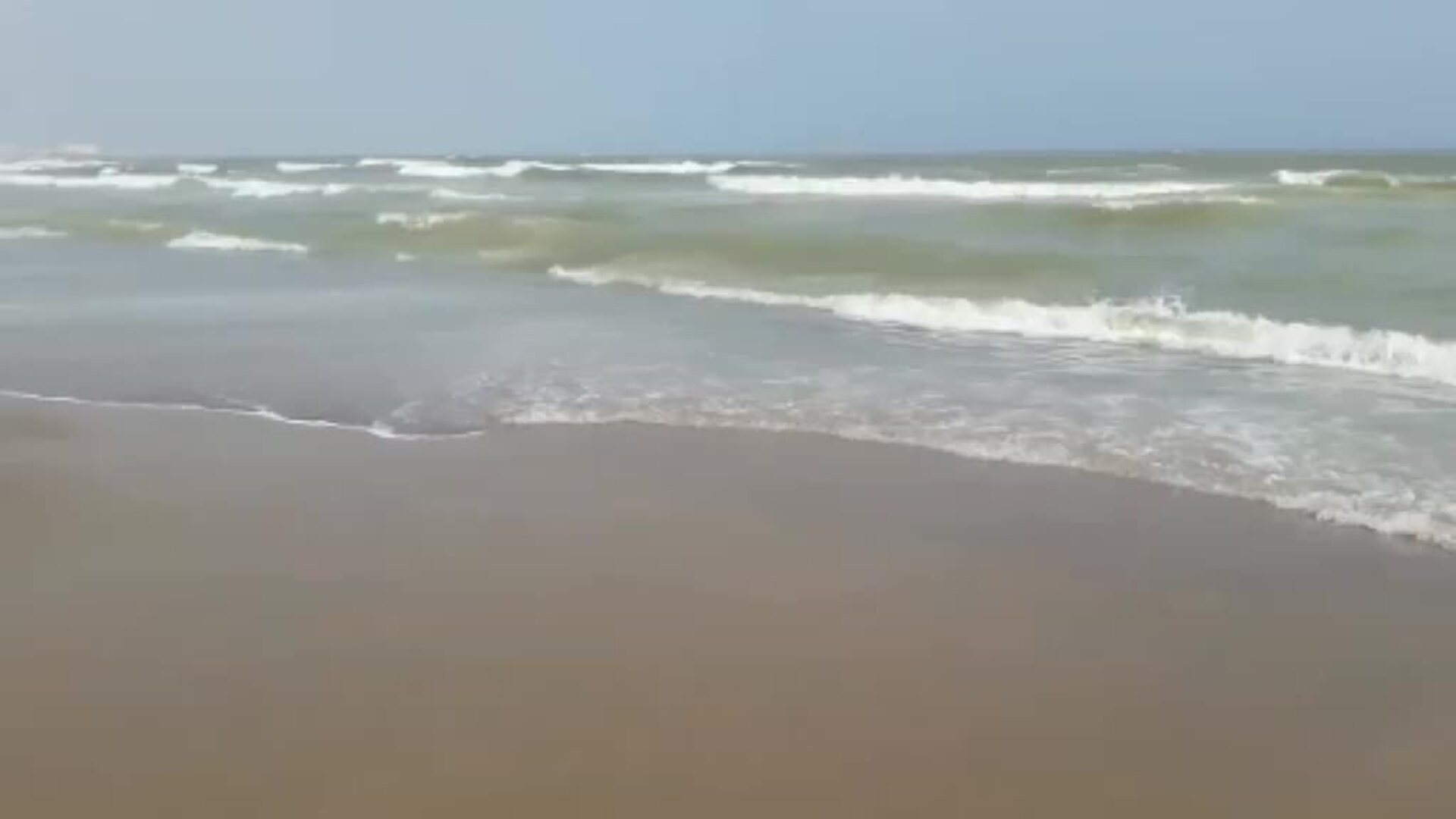 Cierran playas de La Manga por la llegada de atunes muertos tras el temporal