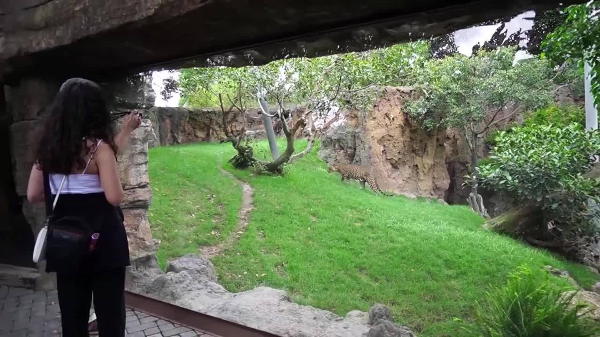 Reapertura de Bioparc con aforo limitado hasta 2.200 personas