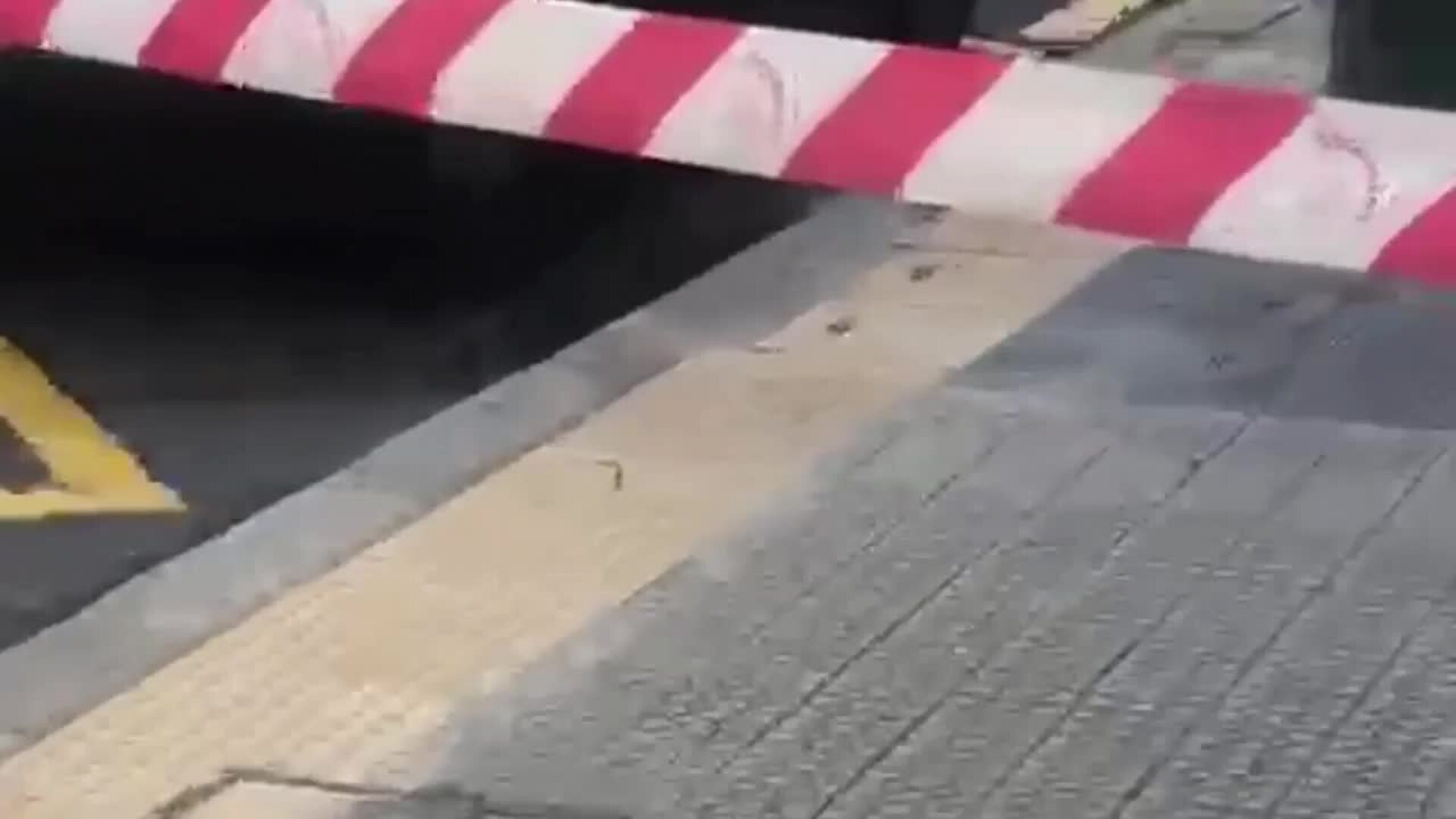 Detenido en Bilbao un atracador que ha asaltado una joyería