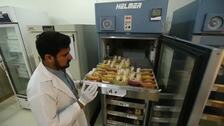 Pacientes con talasemia reciben transfusiones de sangre en Pakistán en vísperas del Día Mundial