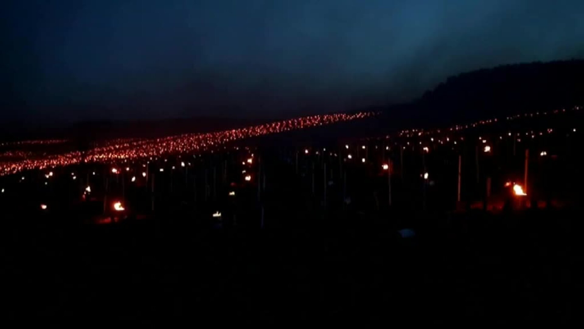 Hogueras en los viñedos franceses para protegerlos del frío