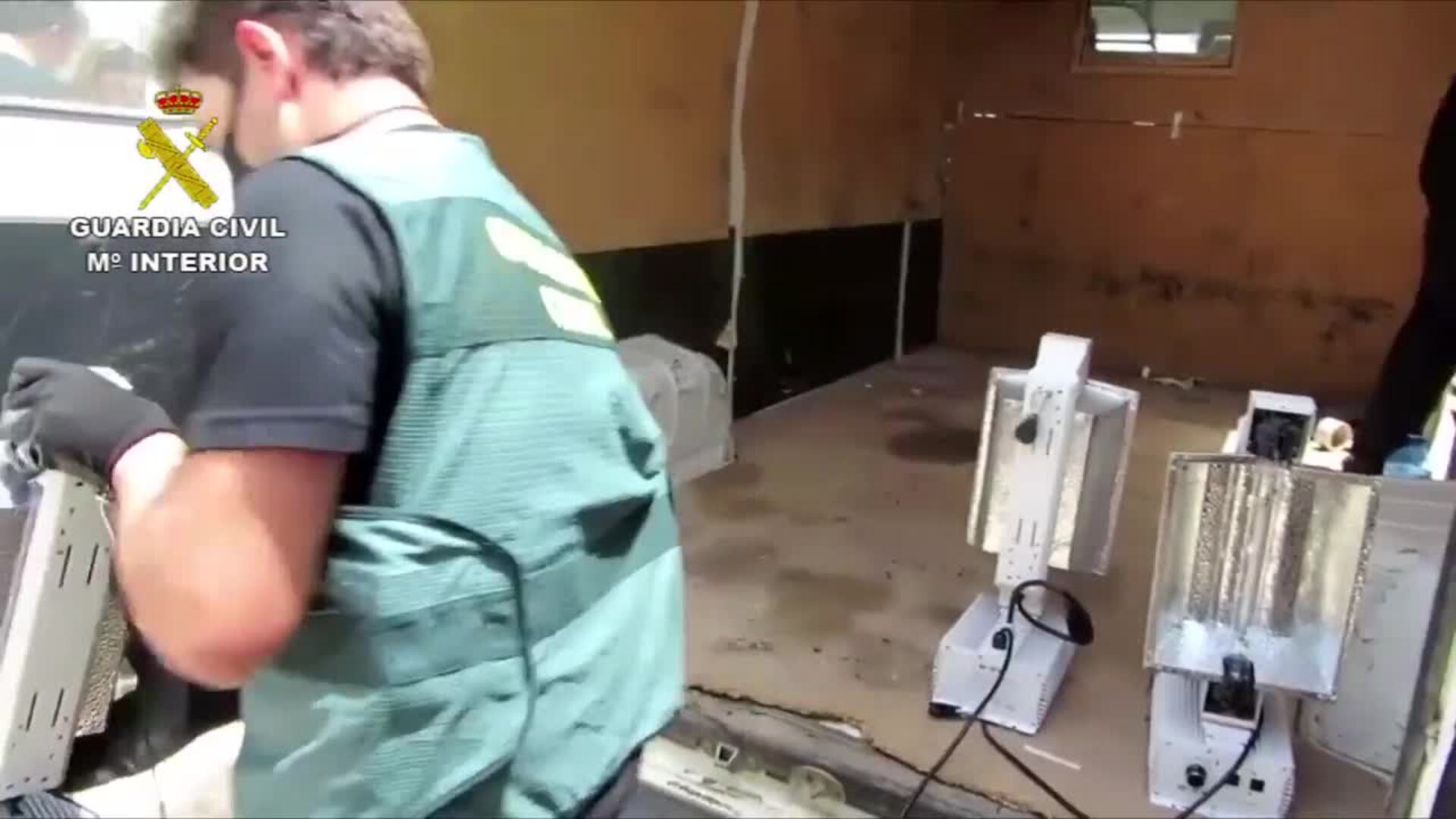 Guardia Civil desmantela un centro de producción de cannabis en Minateda