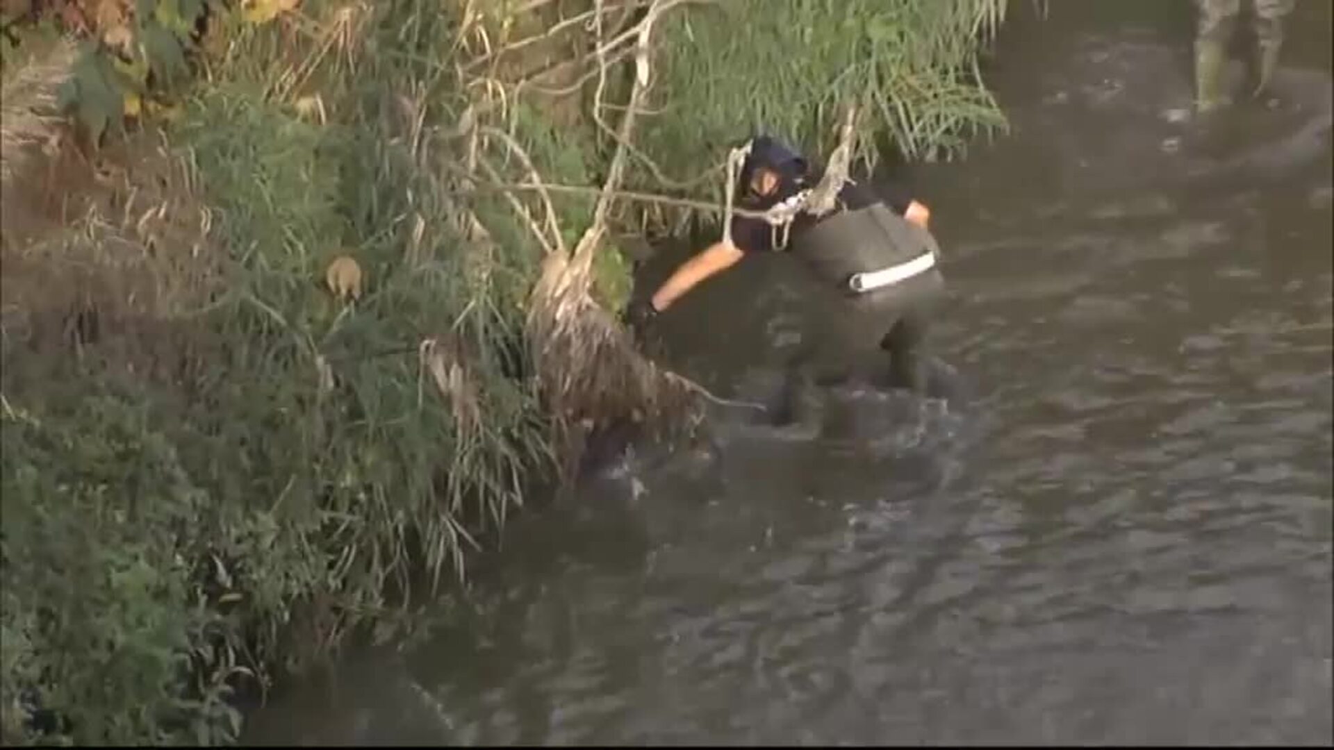 Hallado el cuerpo del bebé en un cañaveral del río Besós