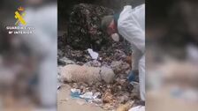 Los restos de la bebé muerta en Loeches fueron trasladados desde un contenedor de Vallecas