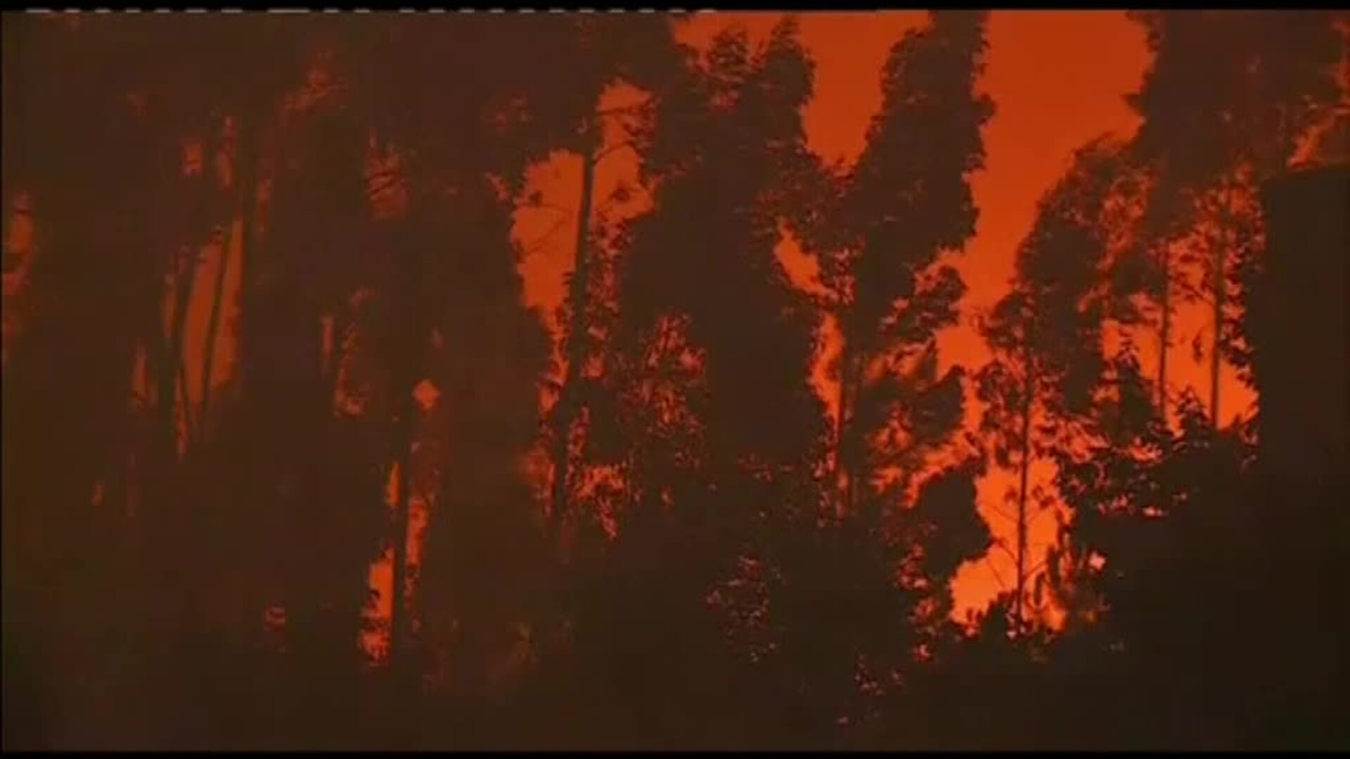 Ochocientos bomberos luchan en Portugal contra un gran incendio forestal