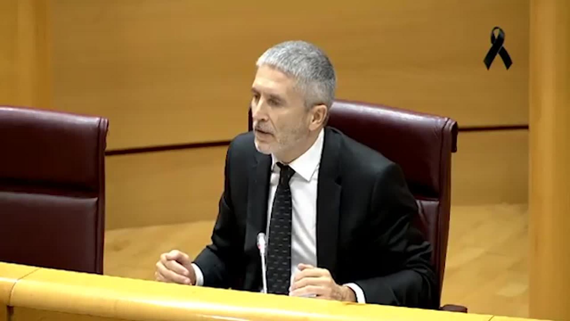 Marlaska dice que ni él ni nadie de la Guardia Civil solicitó el informe del 8M