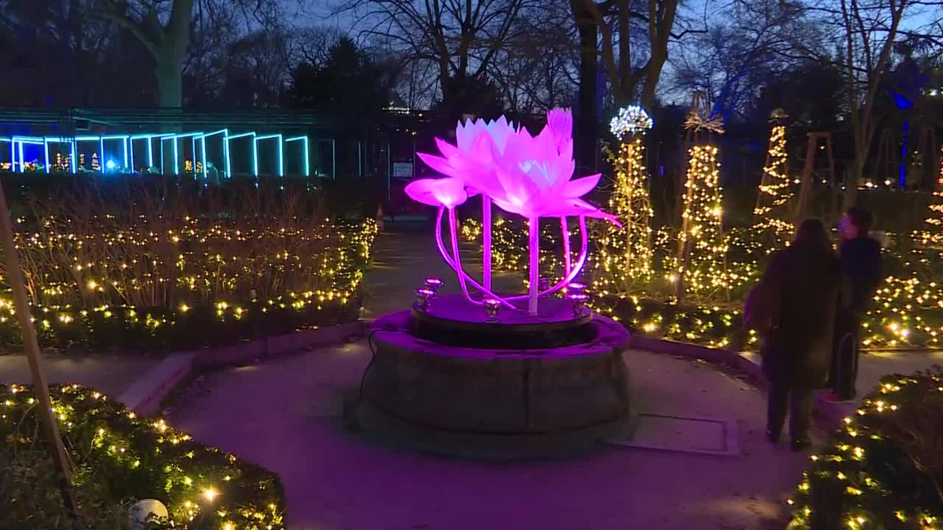 Naturaleza Encendida reabre sus puertas en el Real Jardín Botánico