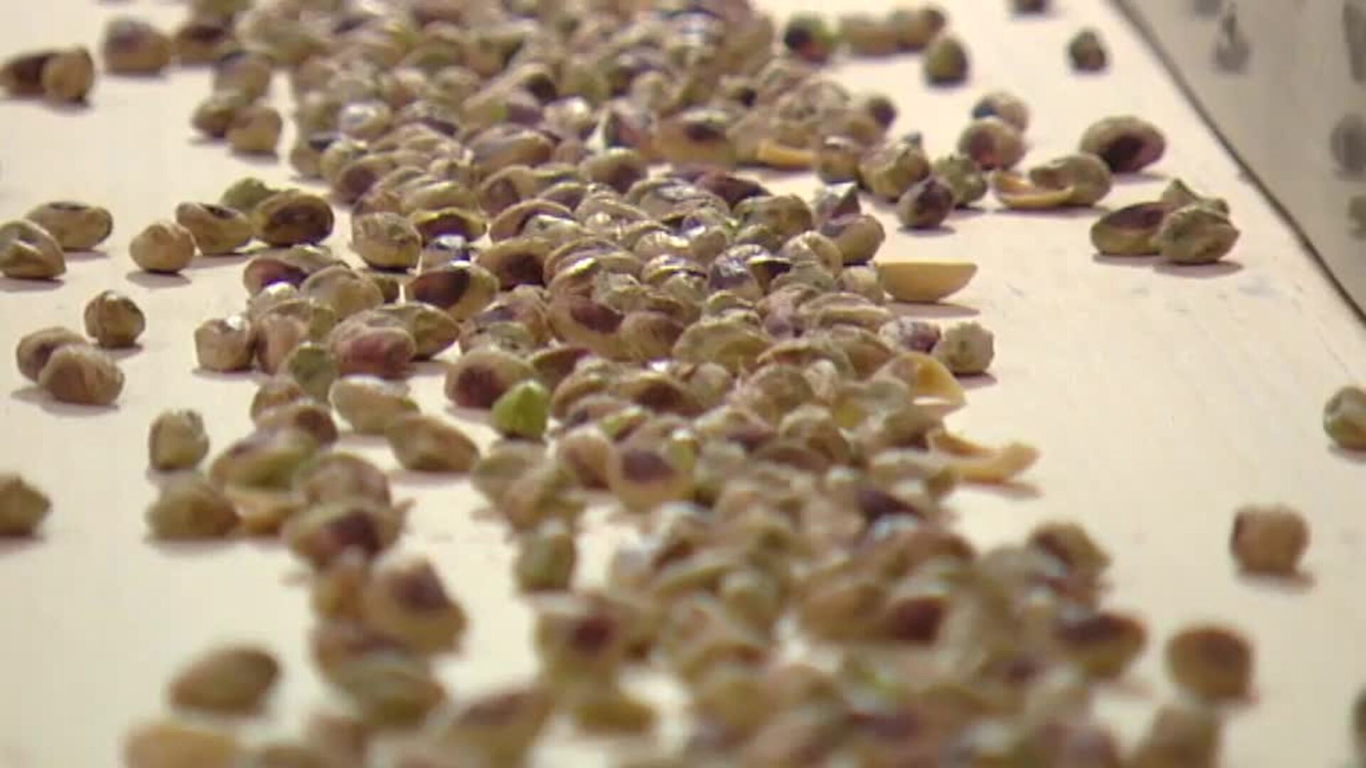 Pistachos: ¿El nuevo oro verde?