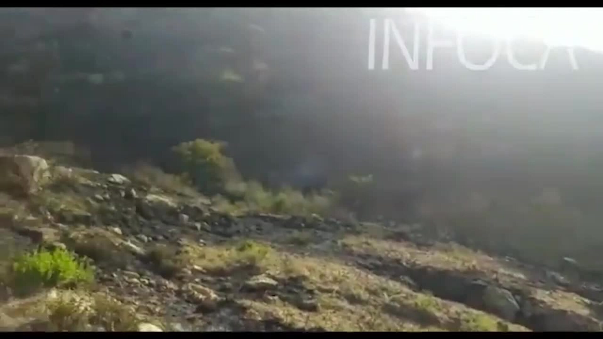 Amplían a 80 los bomberos en el incendio de La Línea de la Concepción